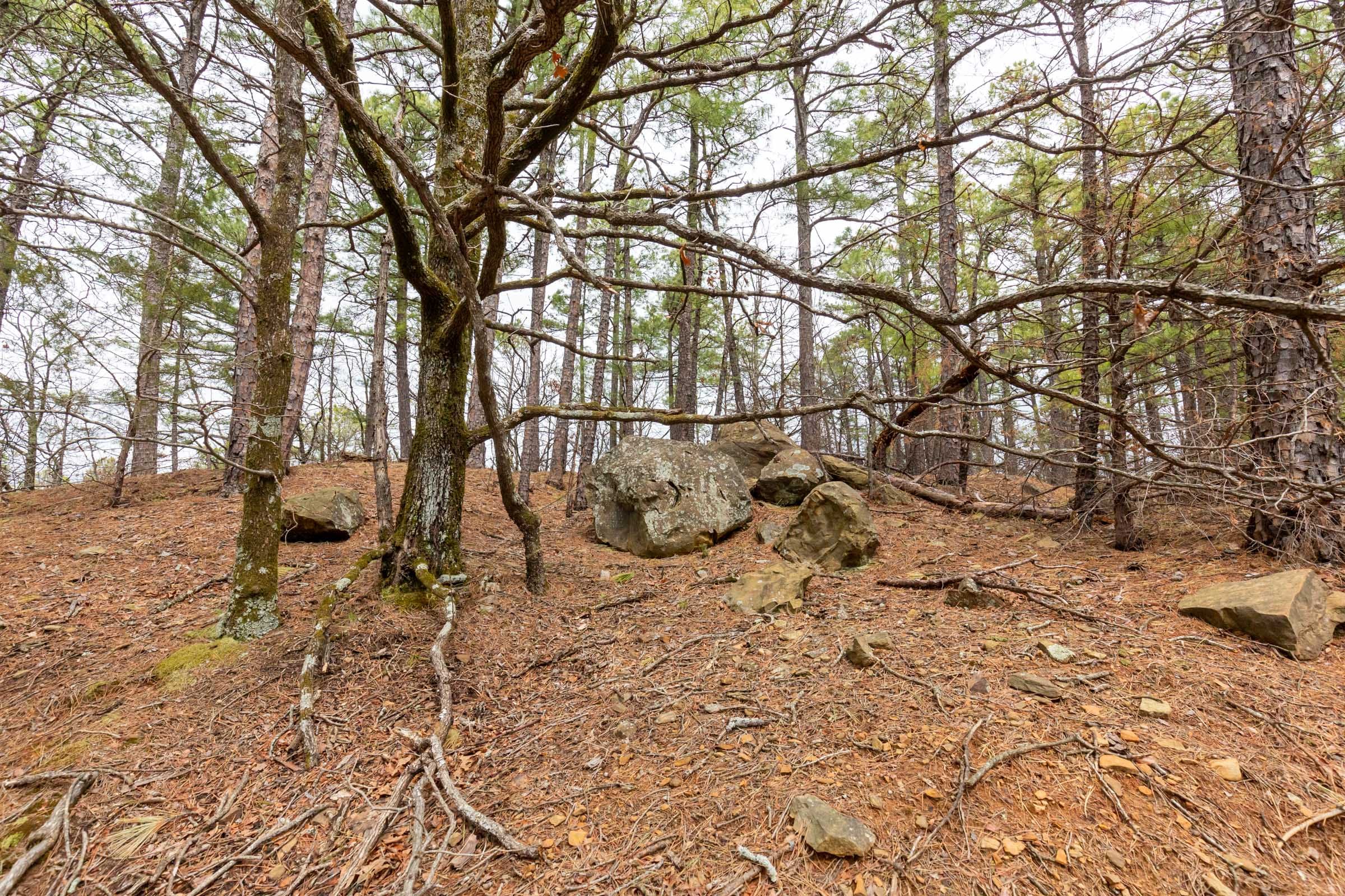 Stone Bridge Phase III Tract 194 photo 10