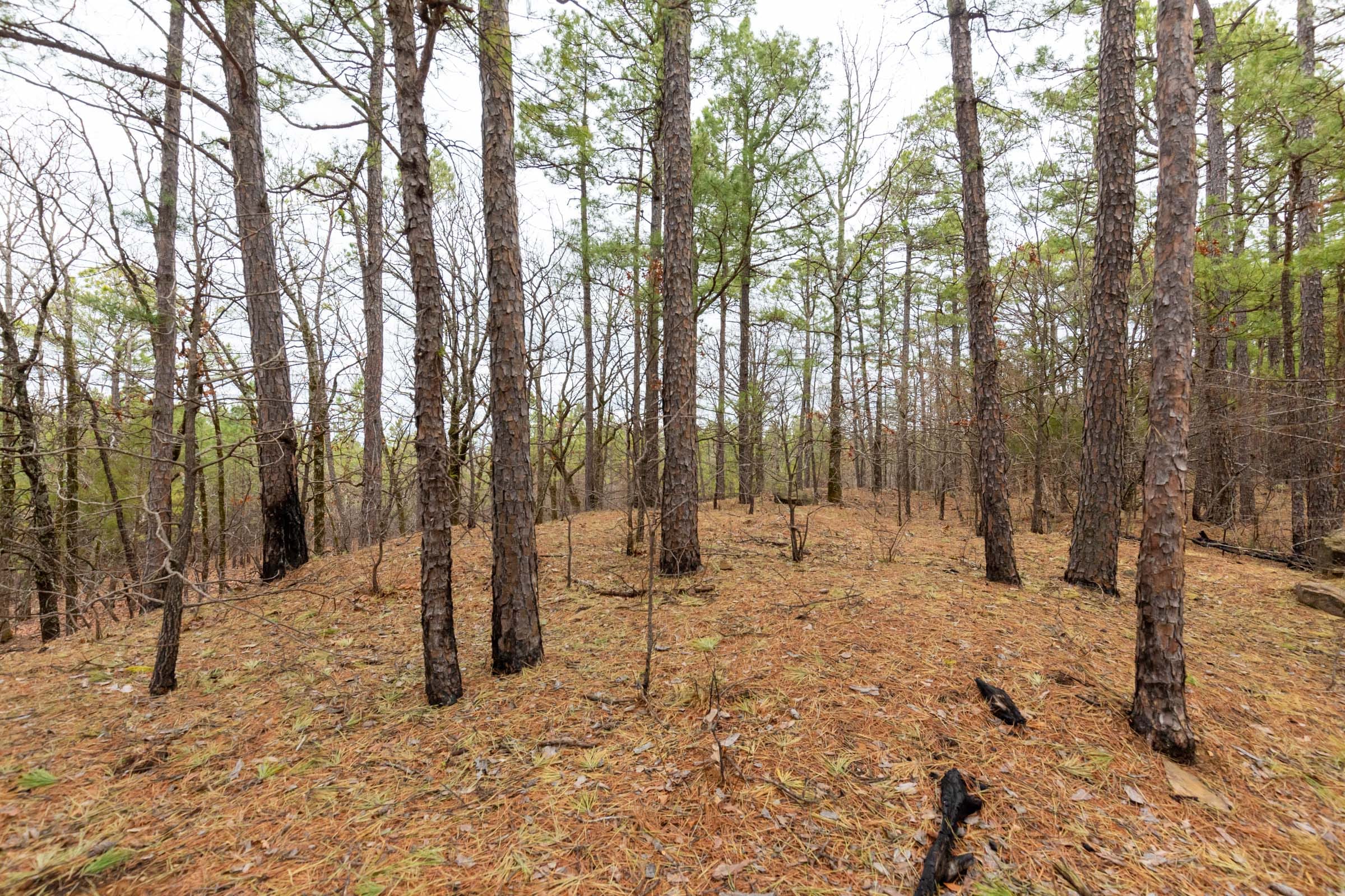 Stone Bridge Phase III Tract 194 photo 11