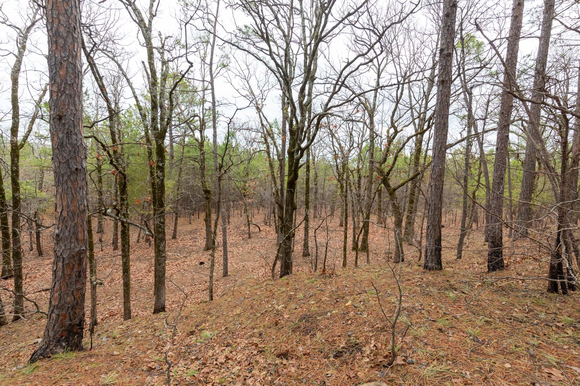 Stone Bridge Phase III Tract 194 photo 12