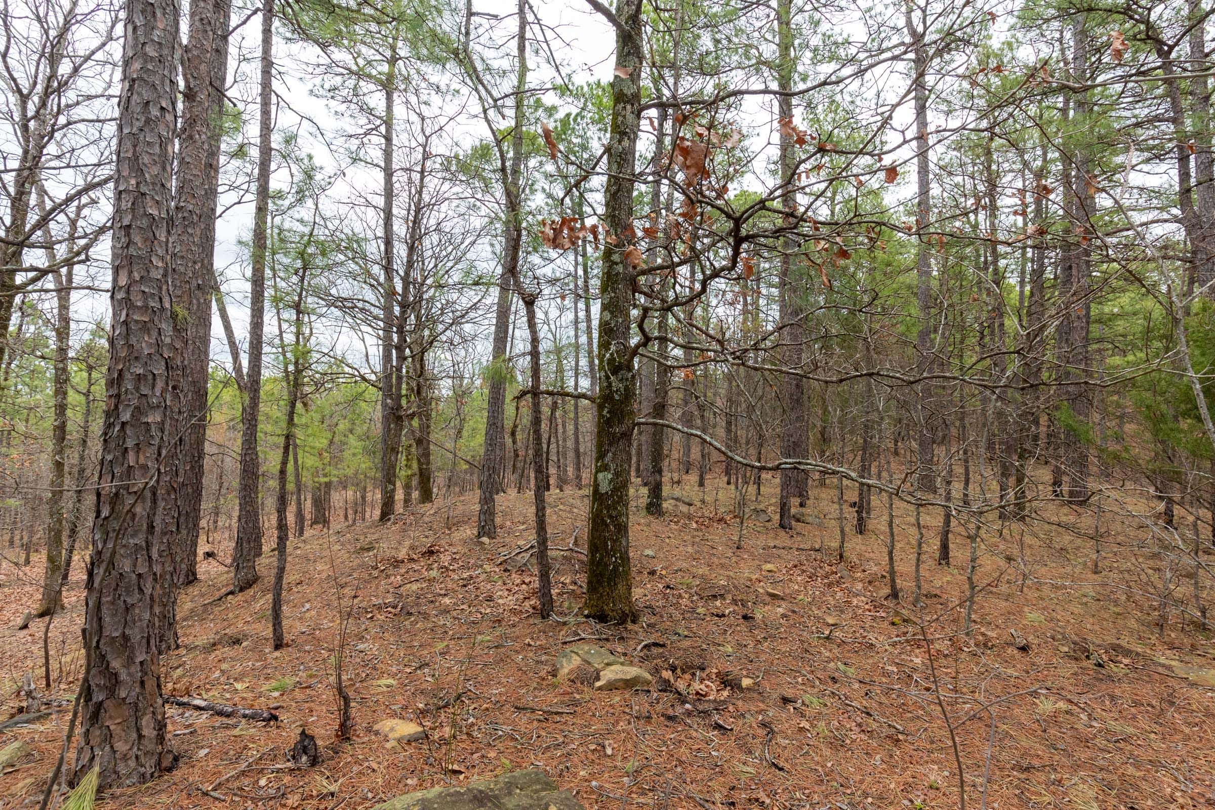 Stone Bridge Phase III Tract 194 photo 14