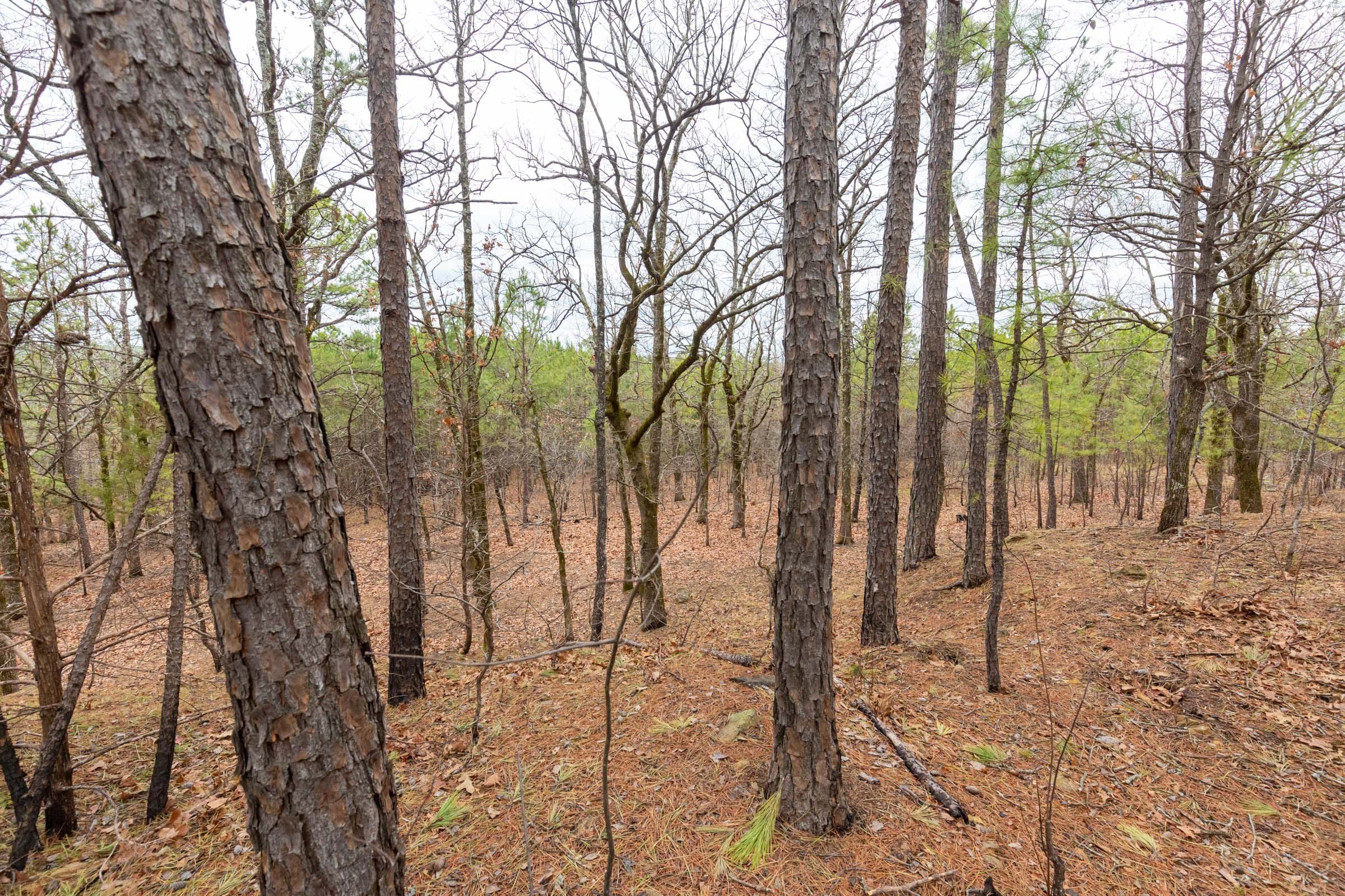 Stone Bridge Phase III Tract 194 photo 15