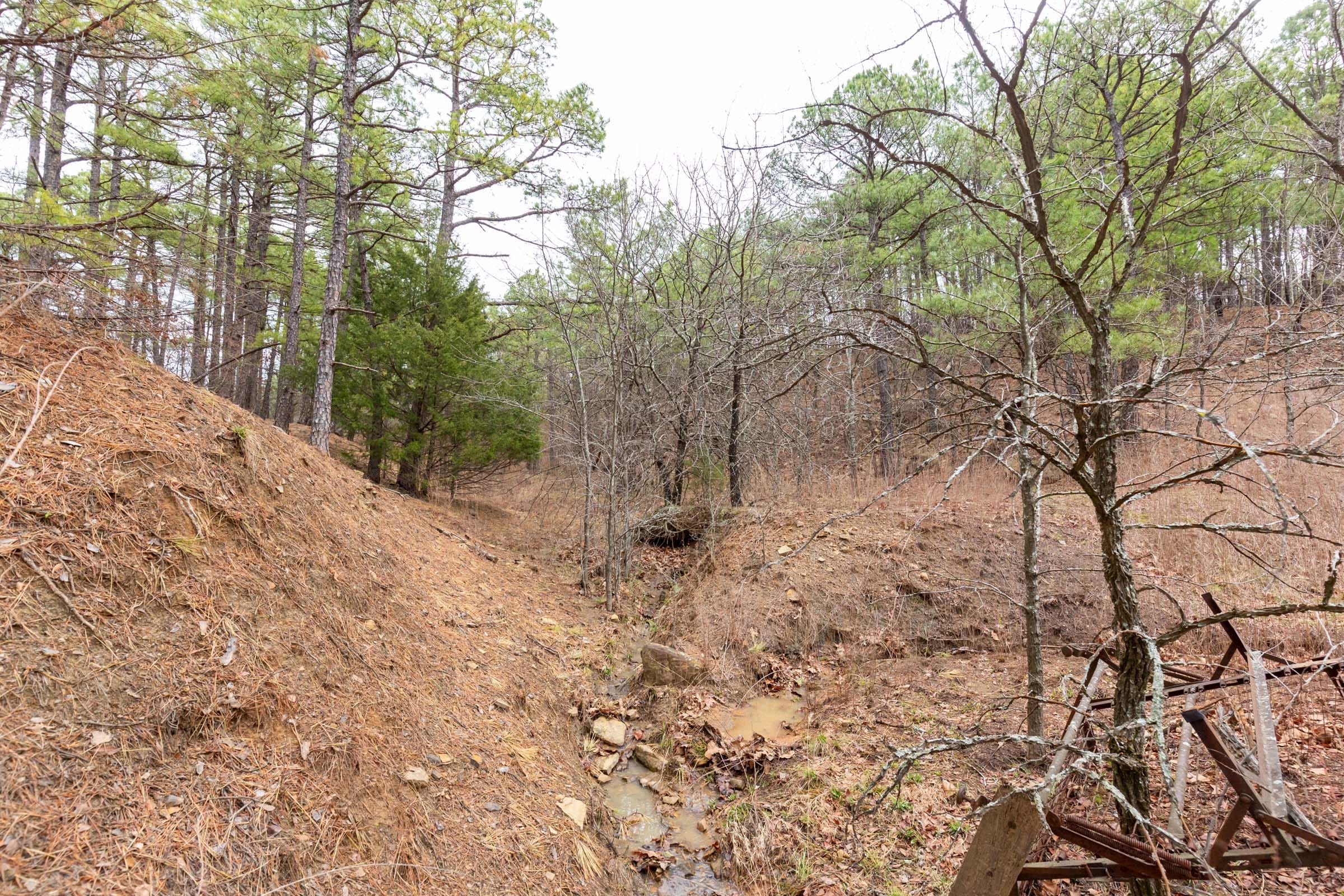 Stone Bridge Phase III Tract 194 photo 3