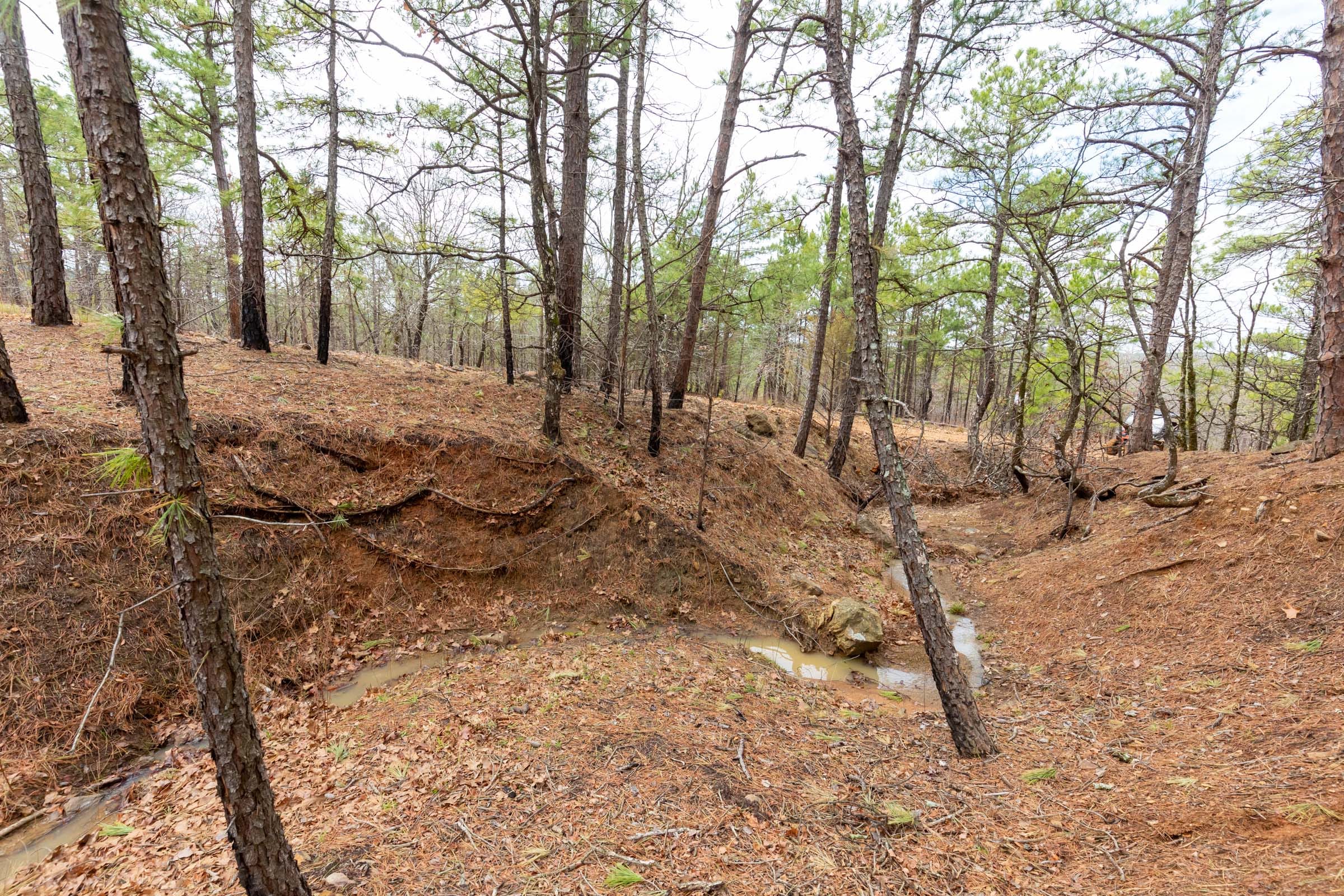 Stone Bridge Phase III Tract 194 photo 2