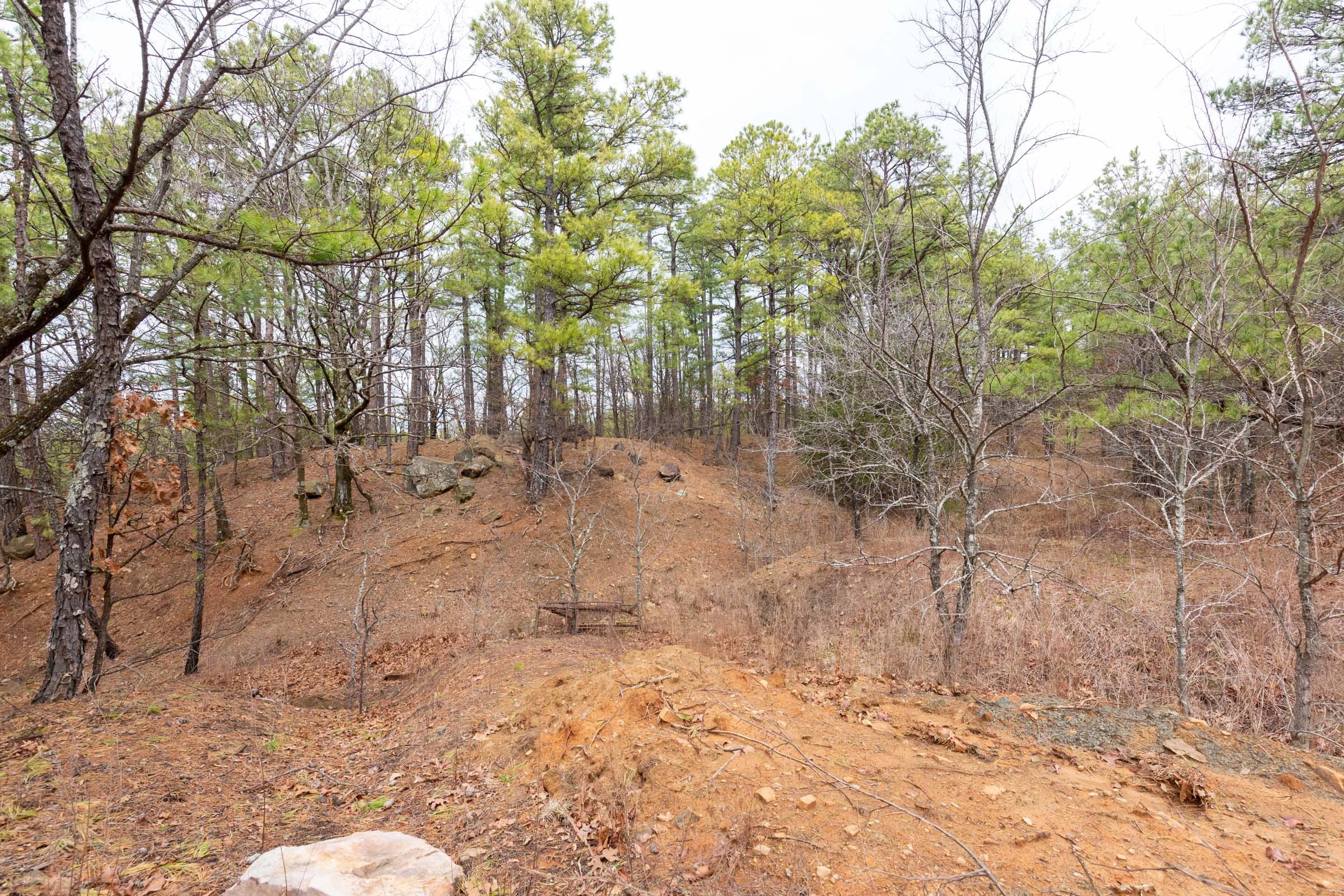 Stone Bridge Phase III Tract 194 photo 16