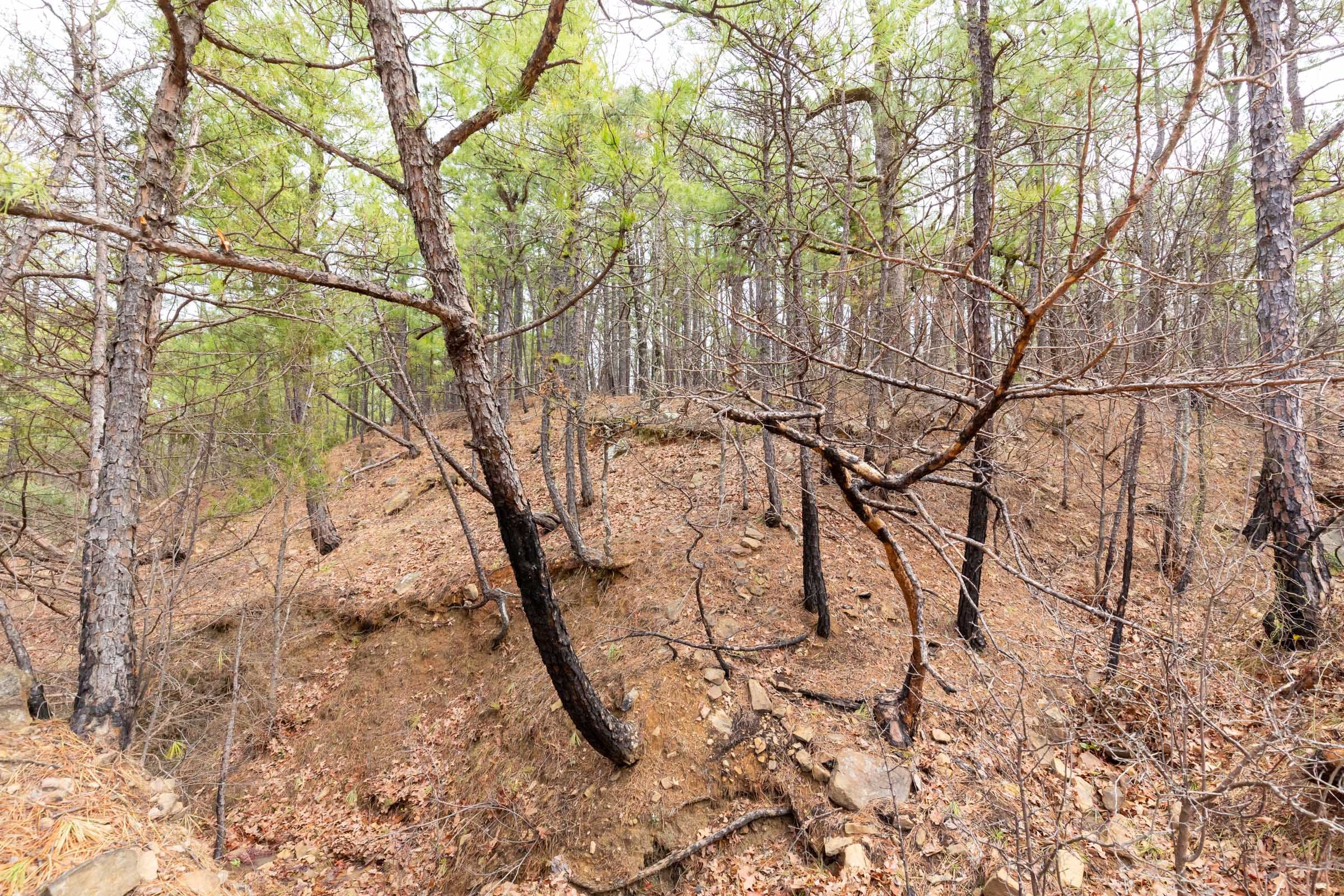 Stone Bridge Phase III Tract 194 photo 17