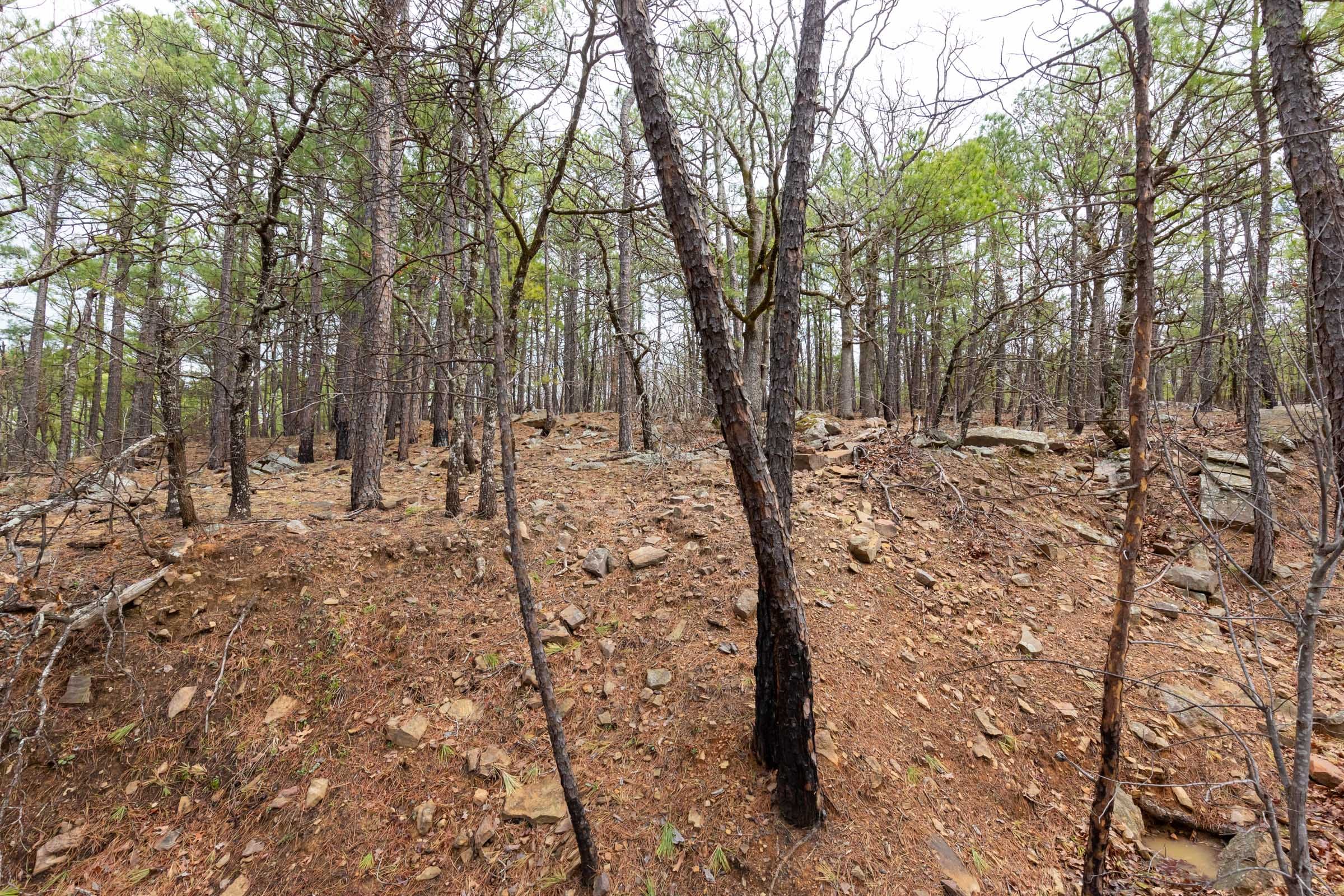 Stone Bridge Phase III Tract 194 photo 18