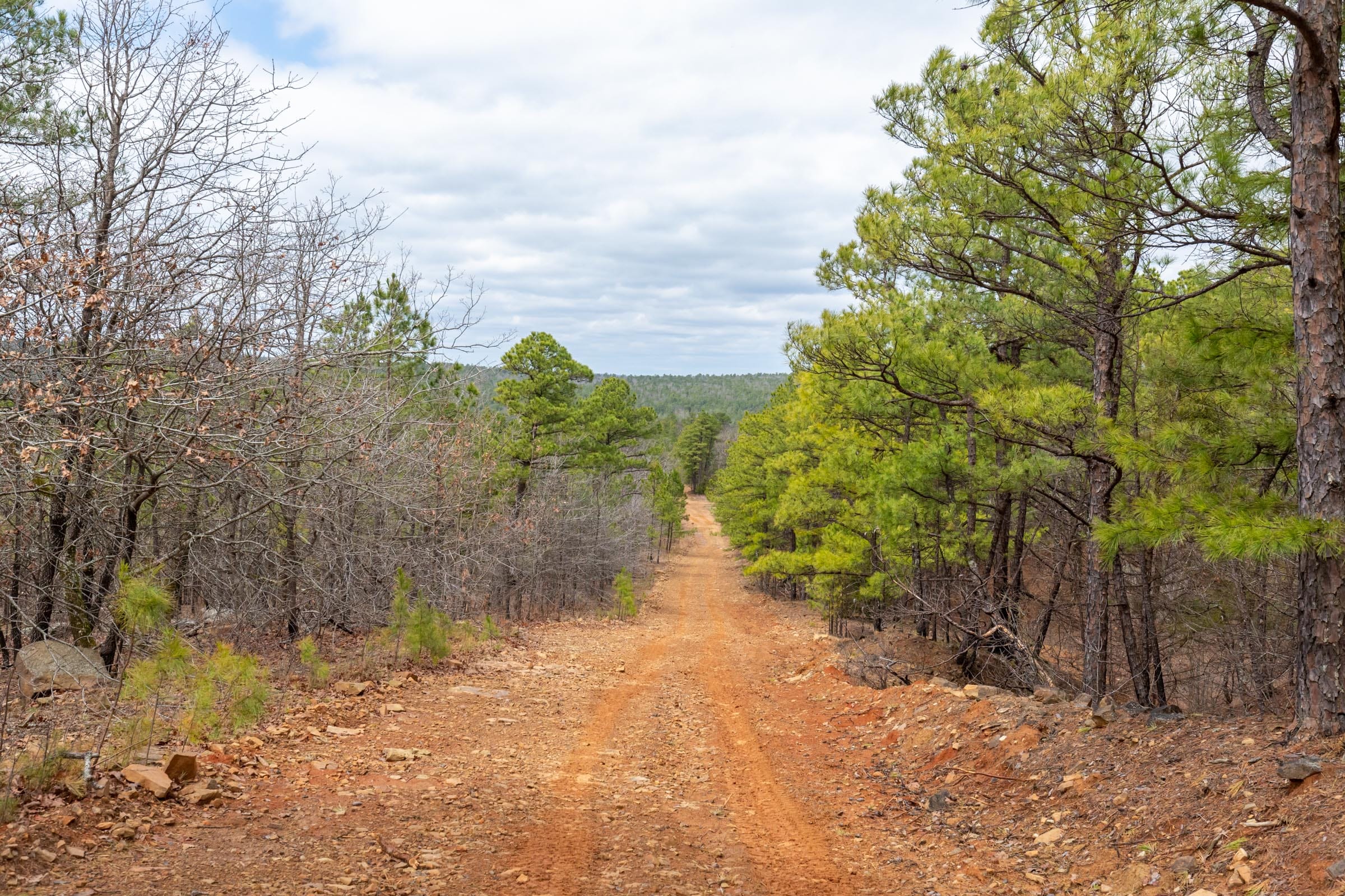 Stone Bridge Phase III Tract 194 photo 13