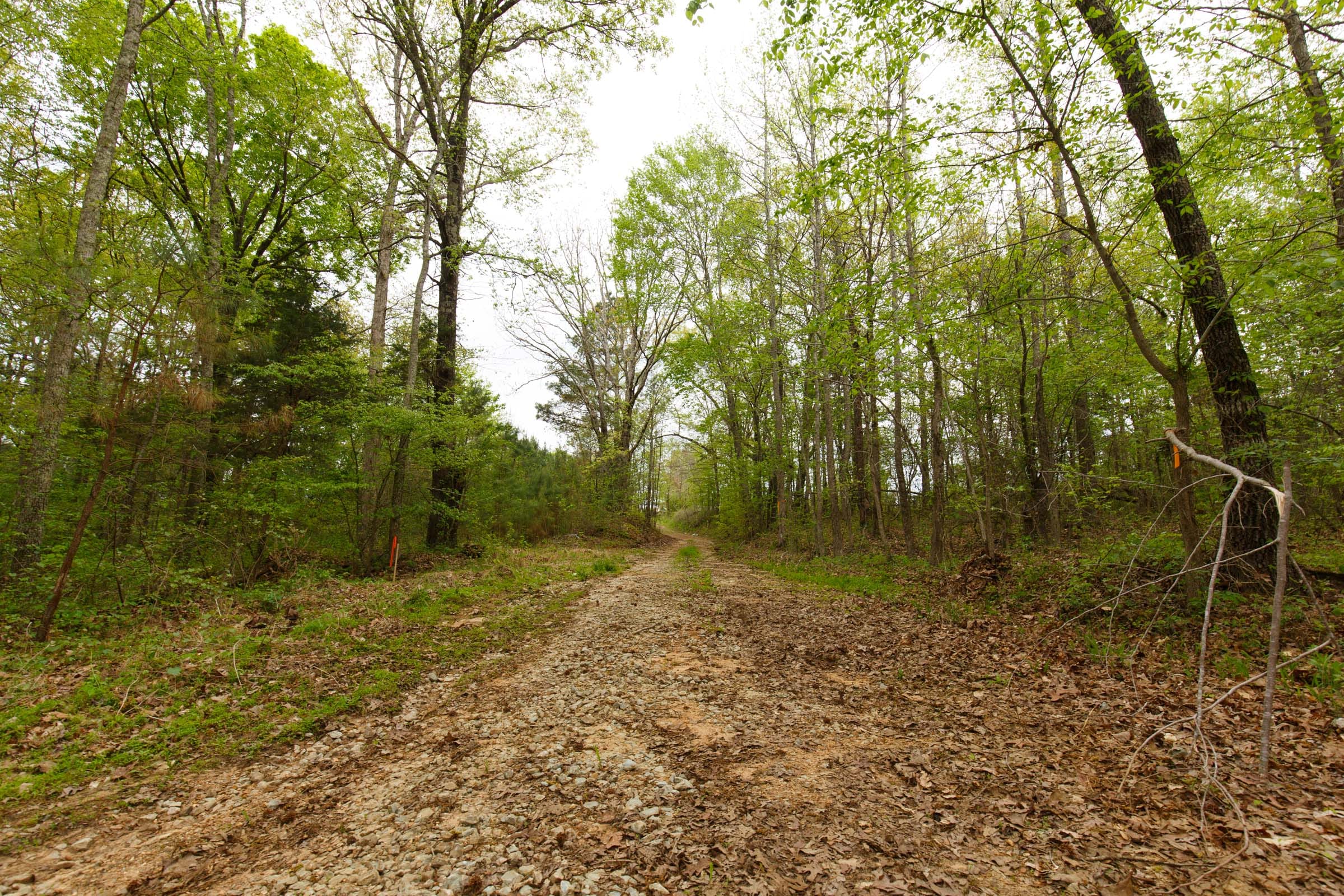 Twin Rivers Tract 5 photo 2