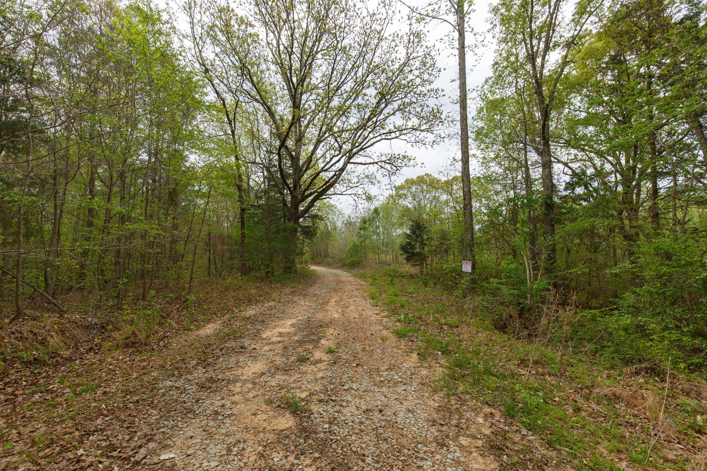 Twin Rivers Tract 5 photo 8
