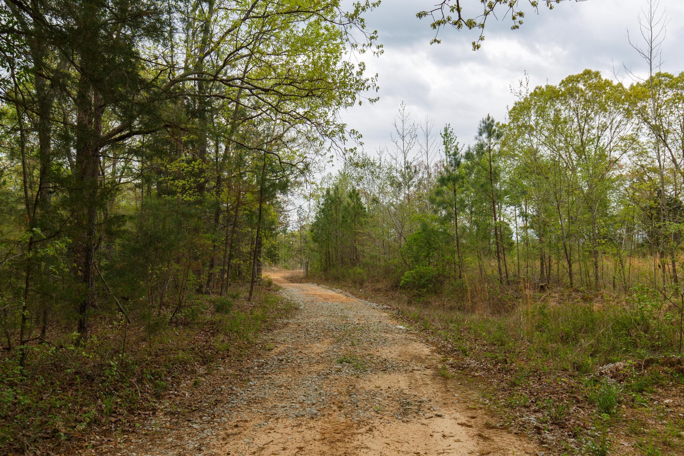 Twin Rivers Tract 5 photo 5
