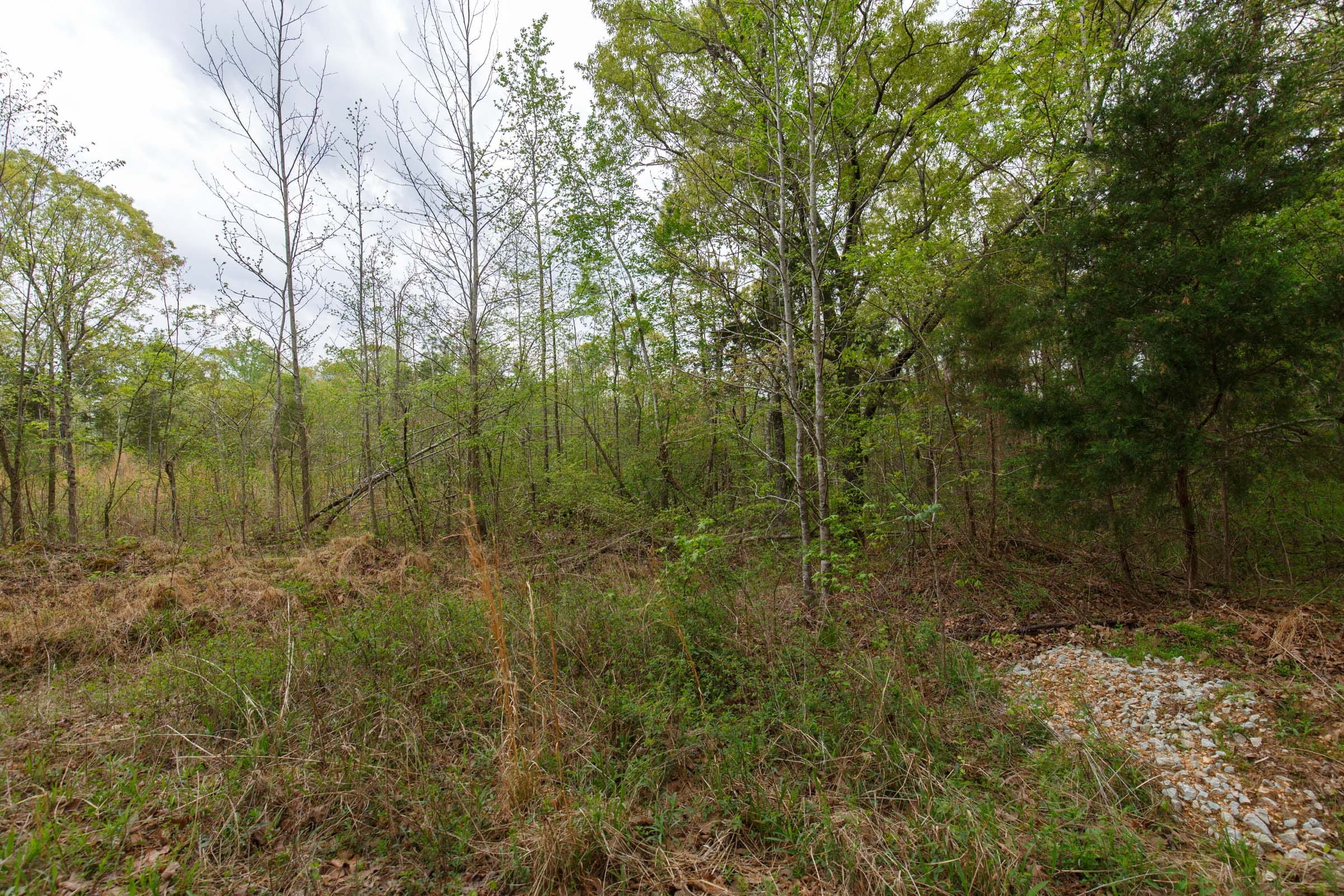 Twin Rivers Tract 5 photo 4