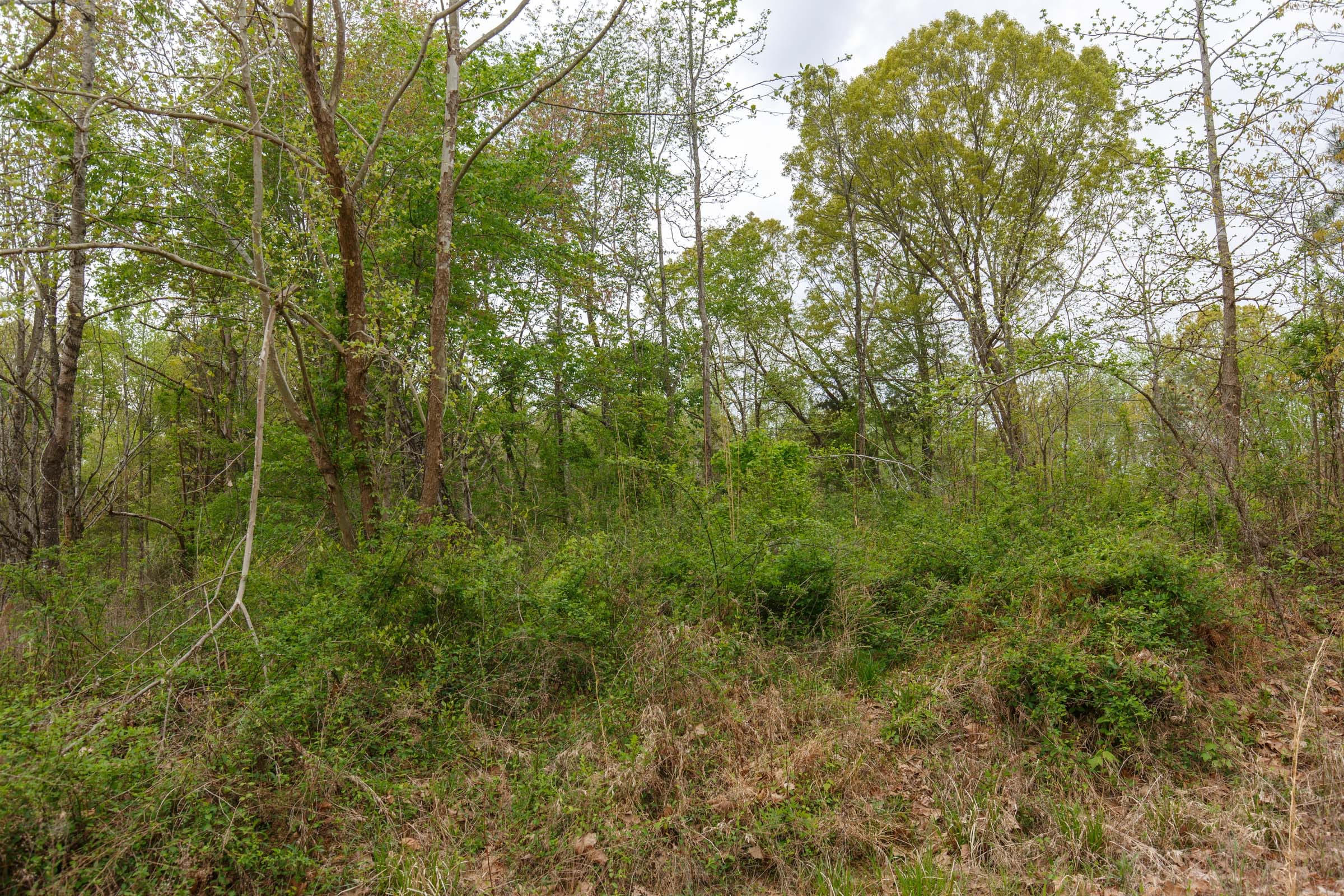 Twin Rivers Tract 5 photo 12