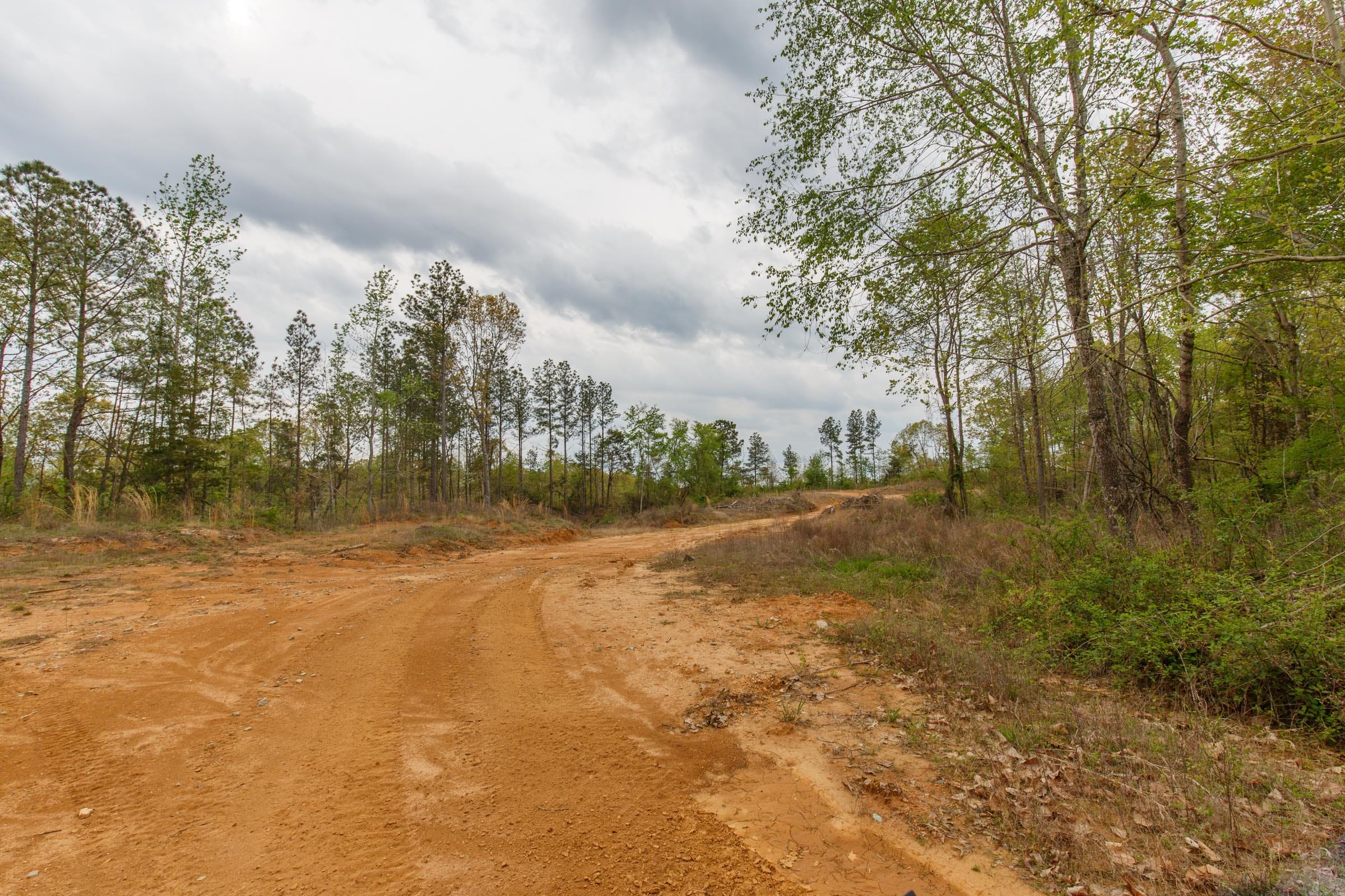 Twin Rivers Tract 5 photo 11