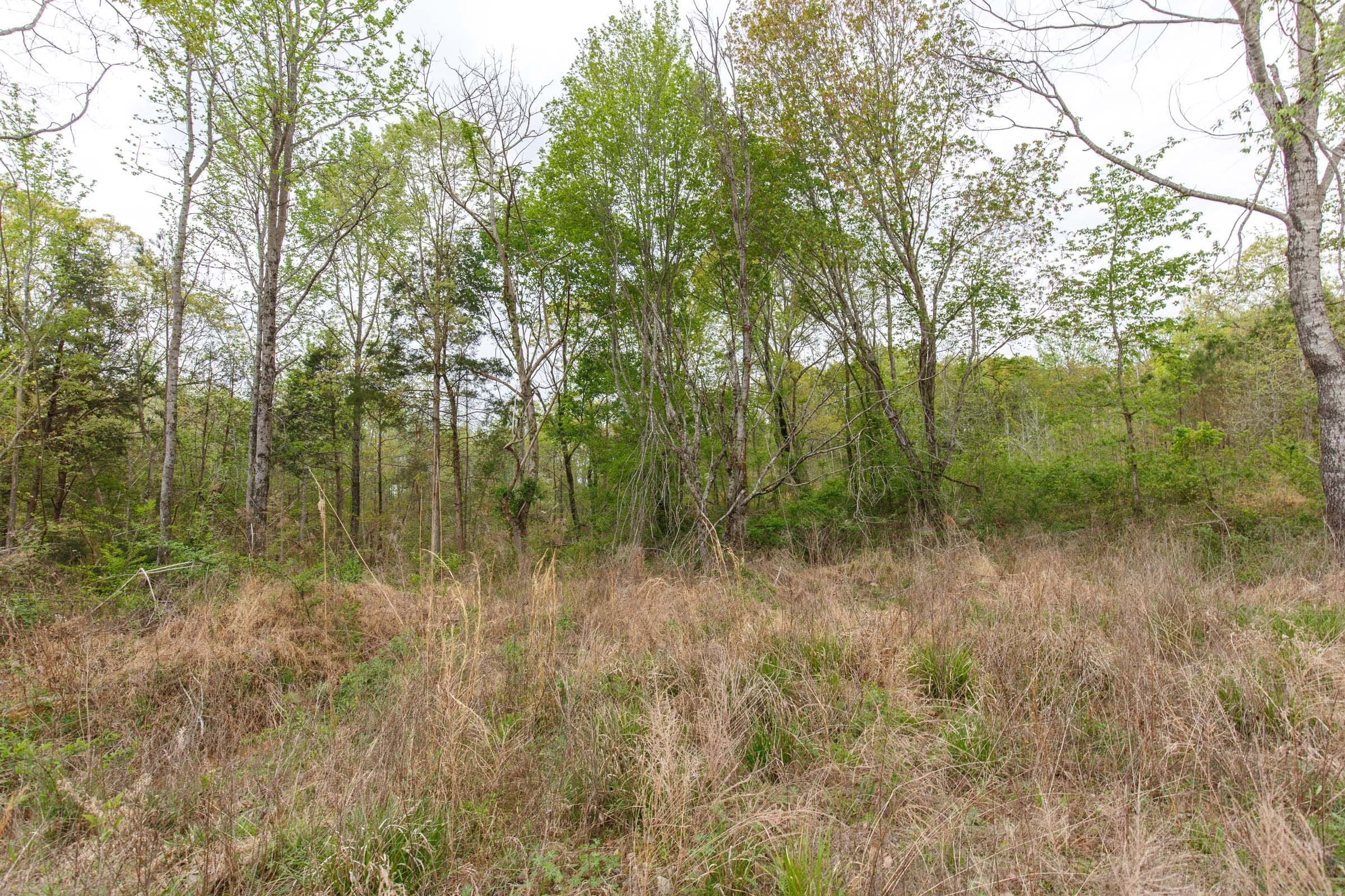 Twin Rivers Tract 5 photo 9