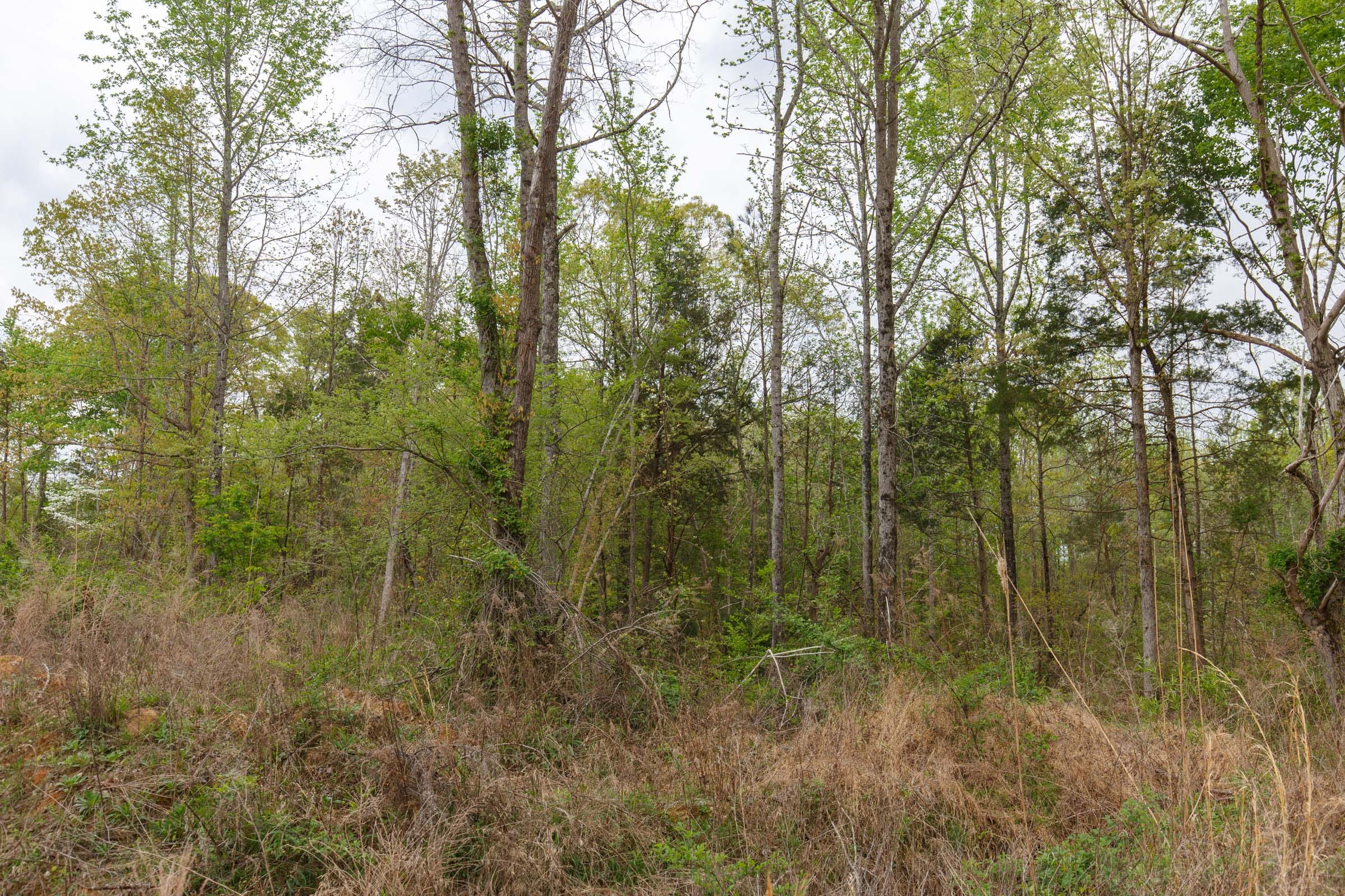 Twin Rivers Tract 5 photo 10
