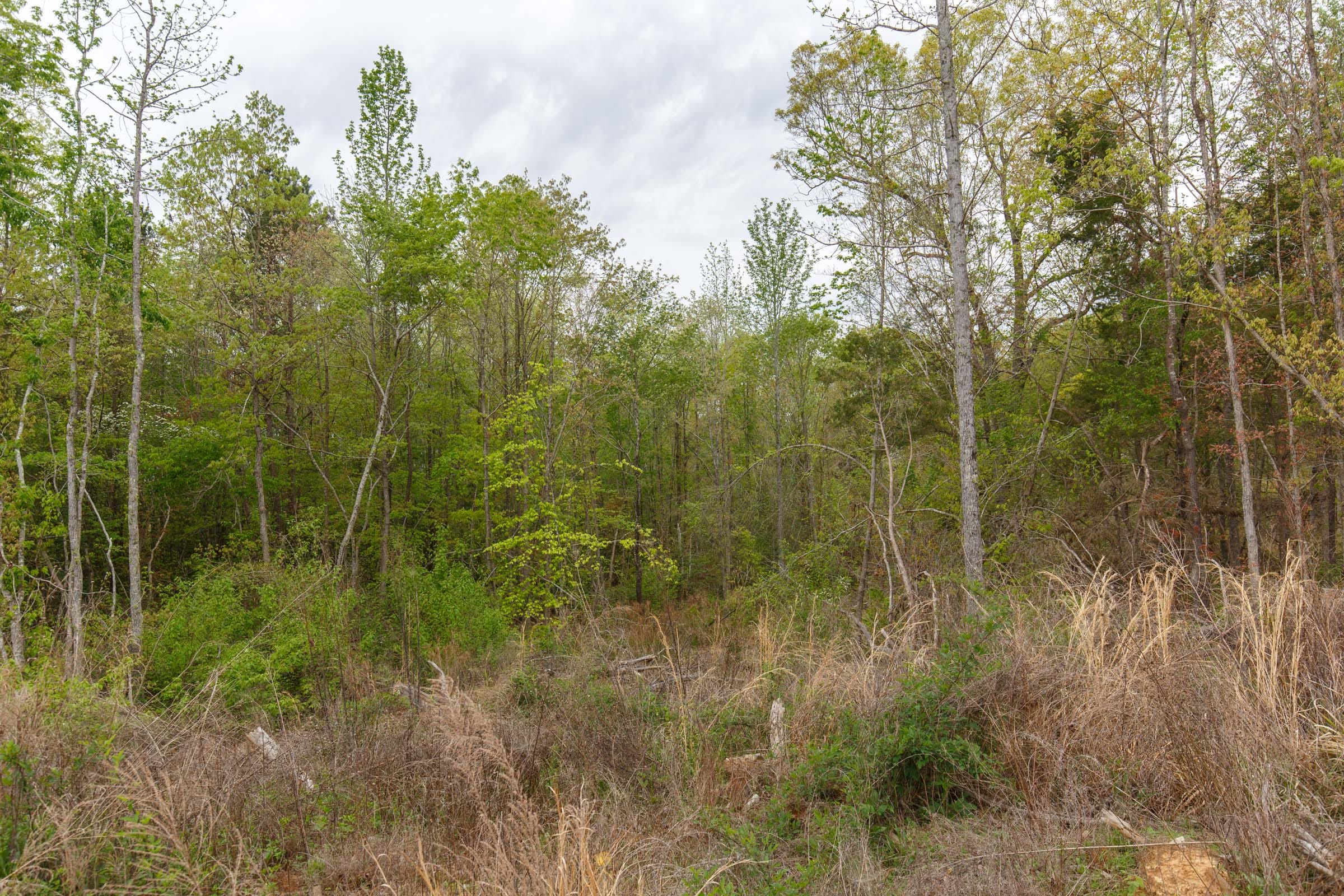 Twin Rivers Tract 5 photo 15