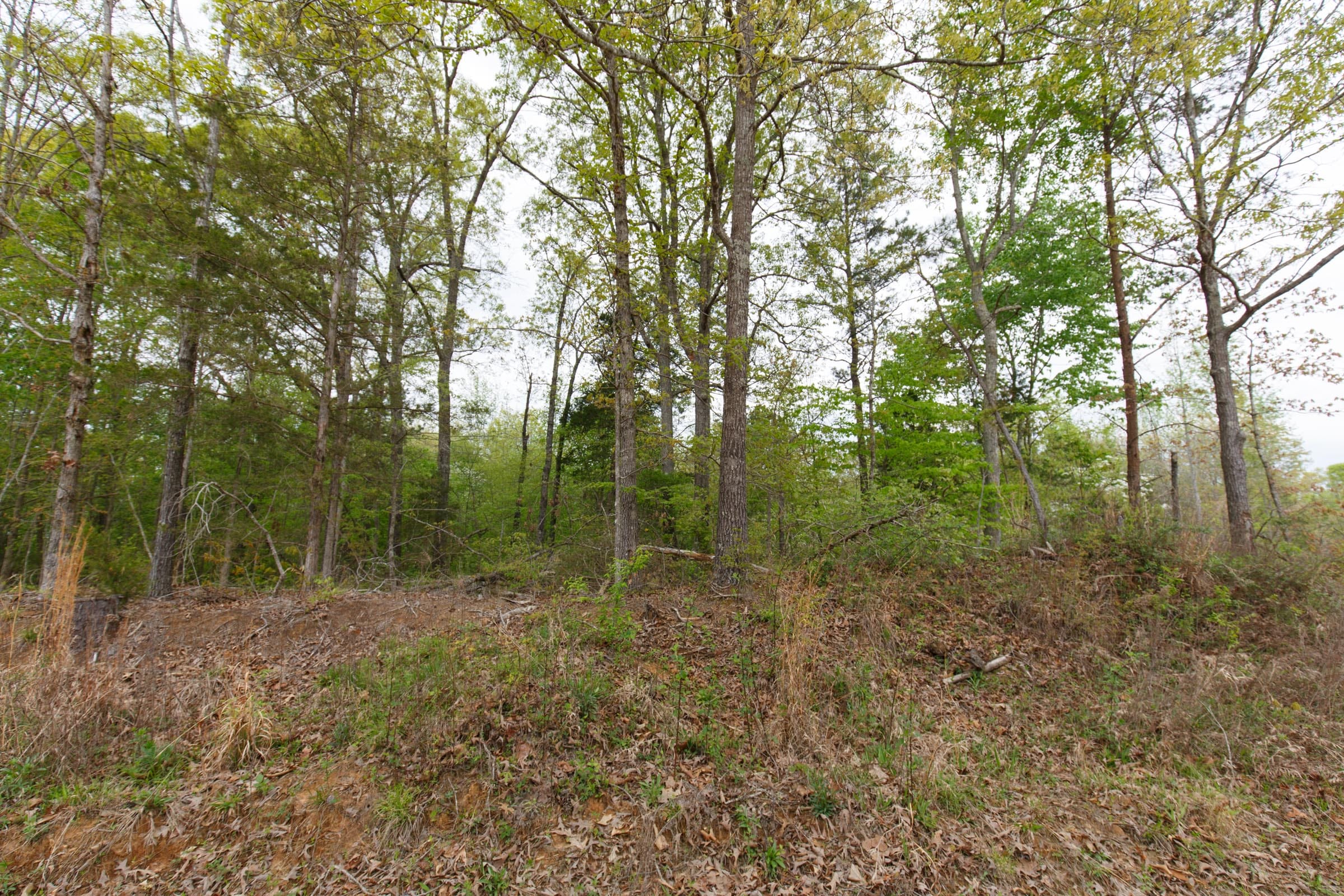 Twin Rivers Tract 5 photo 13