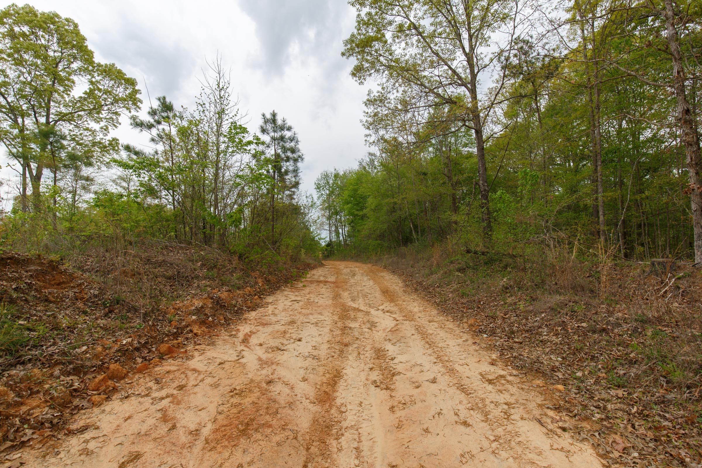 Twin Rivers Tract 5 photo 17