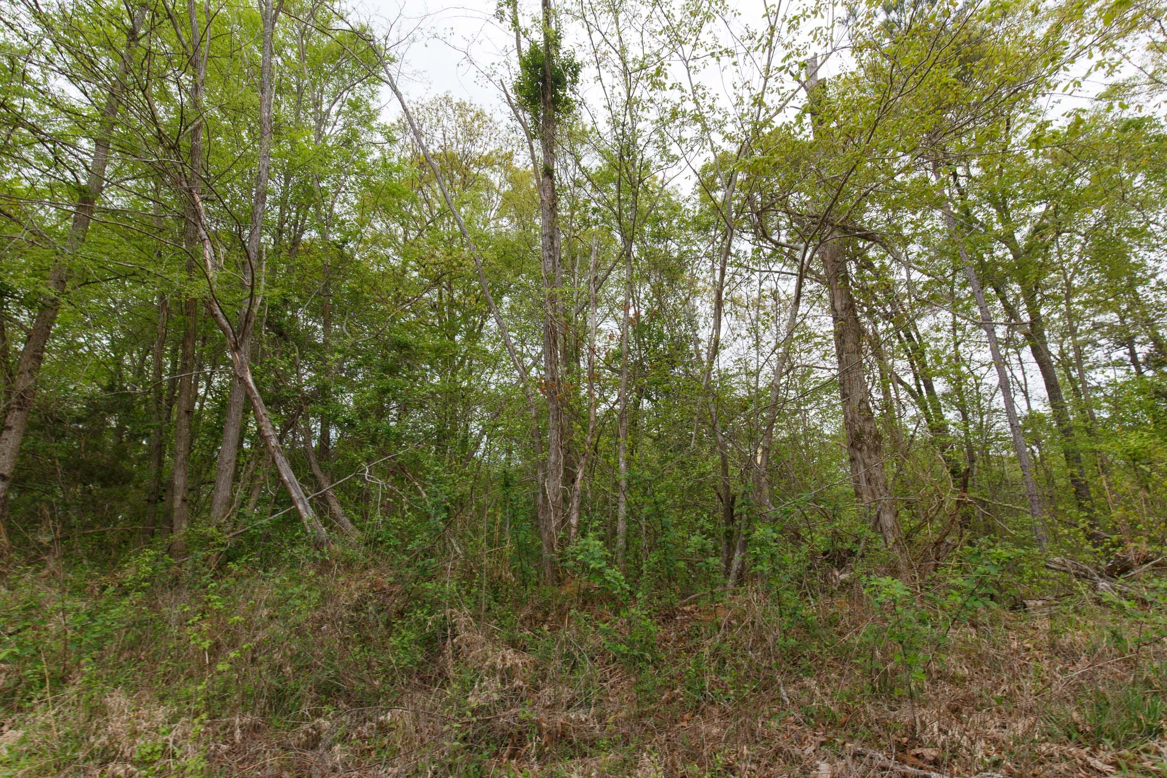 Twin Rivers Tract 5 photo 16