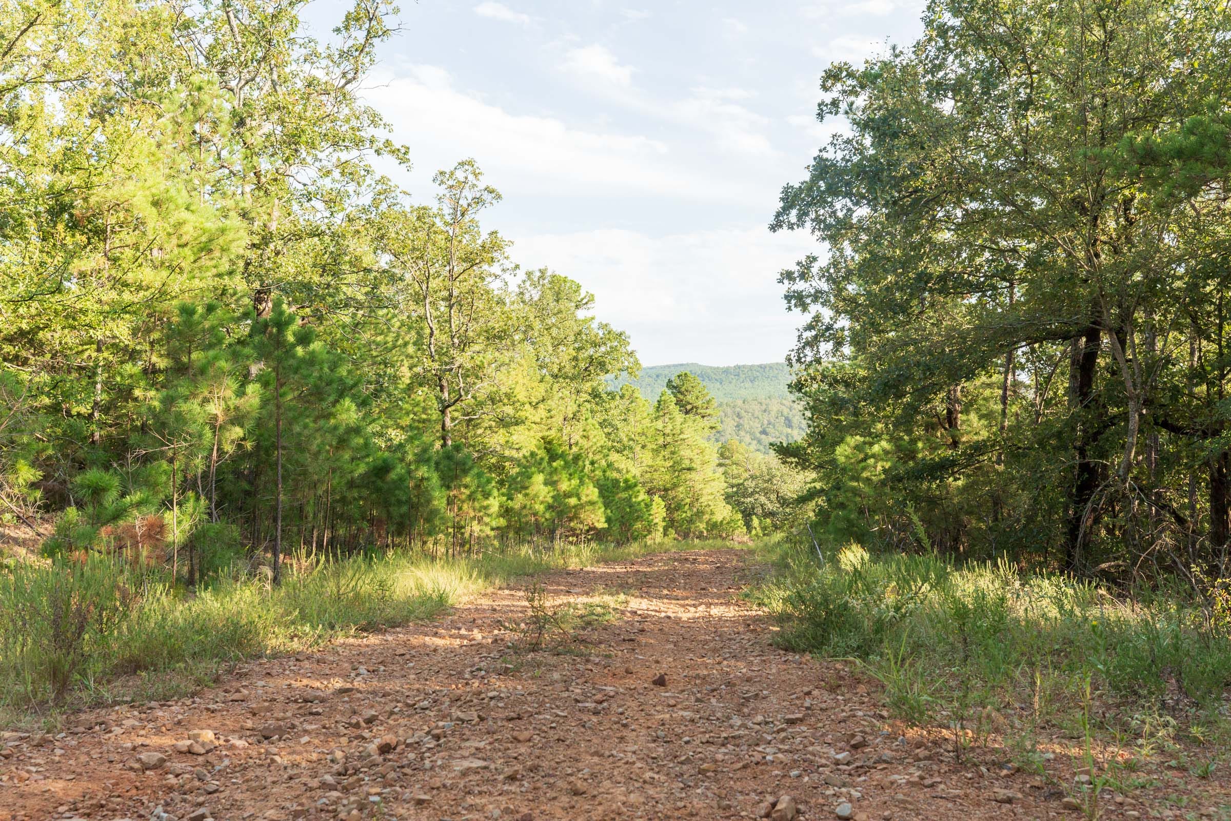 Stone Bridge Phase V Tract 383 photo 6