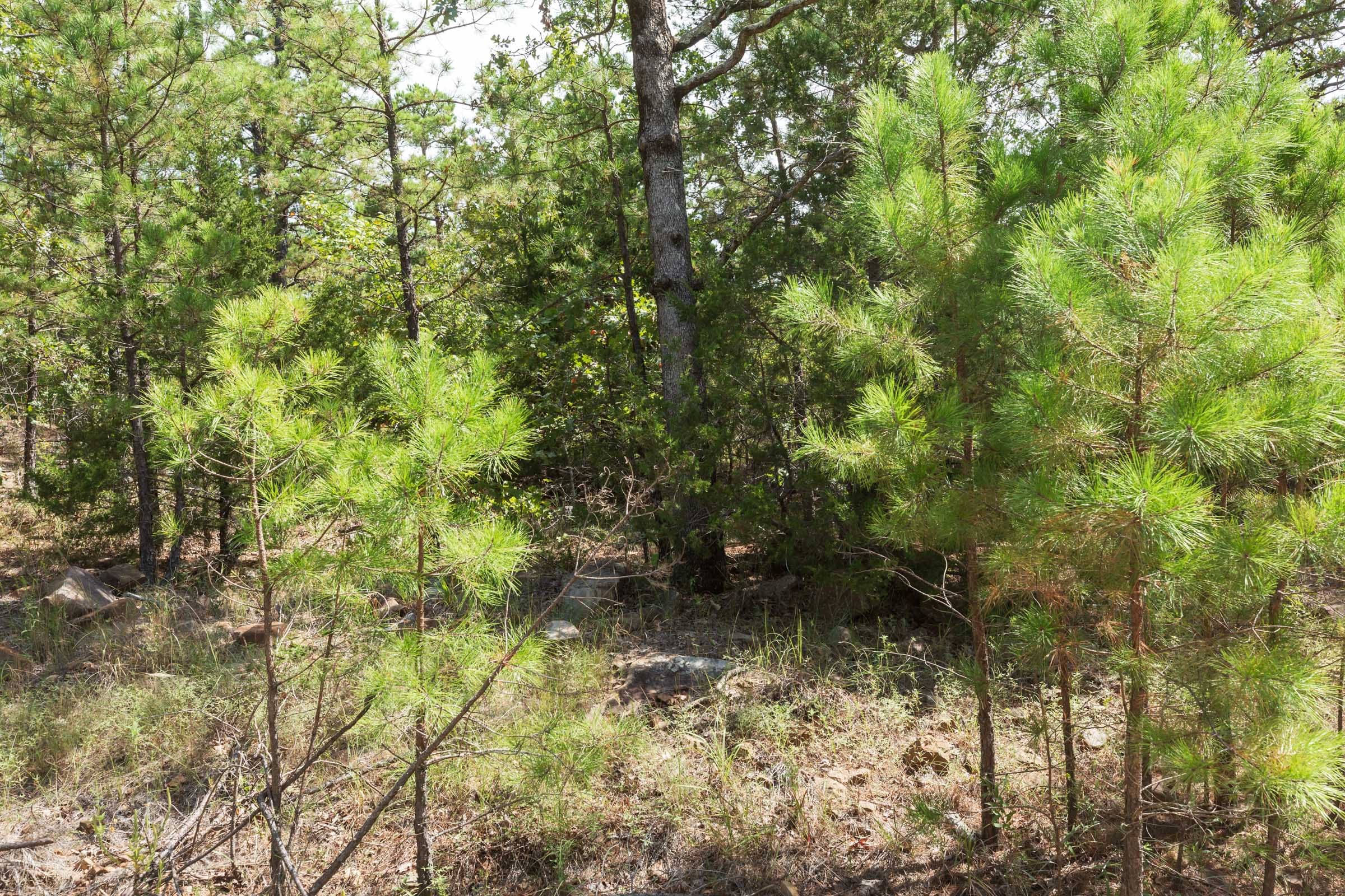 Stone Bridge Phase V Tract 383 photo 5