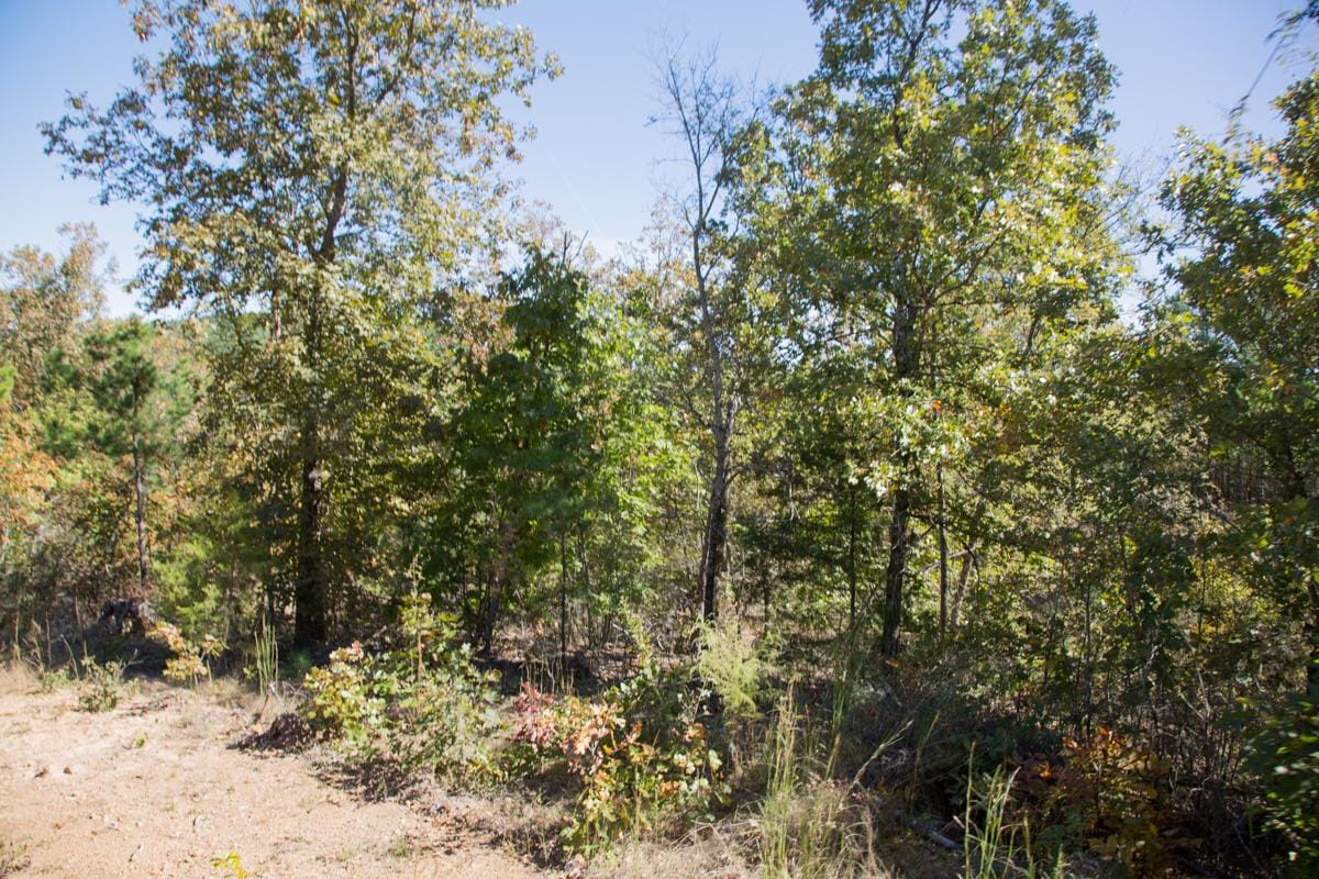 Stone Creek Phase I Tract 114 photo 4