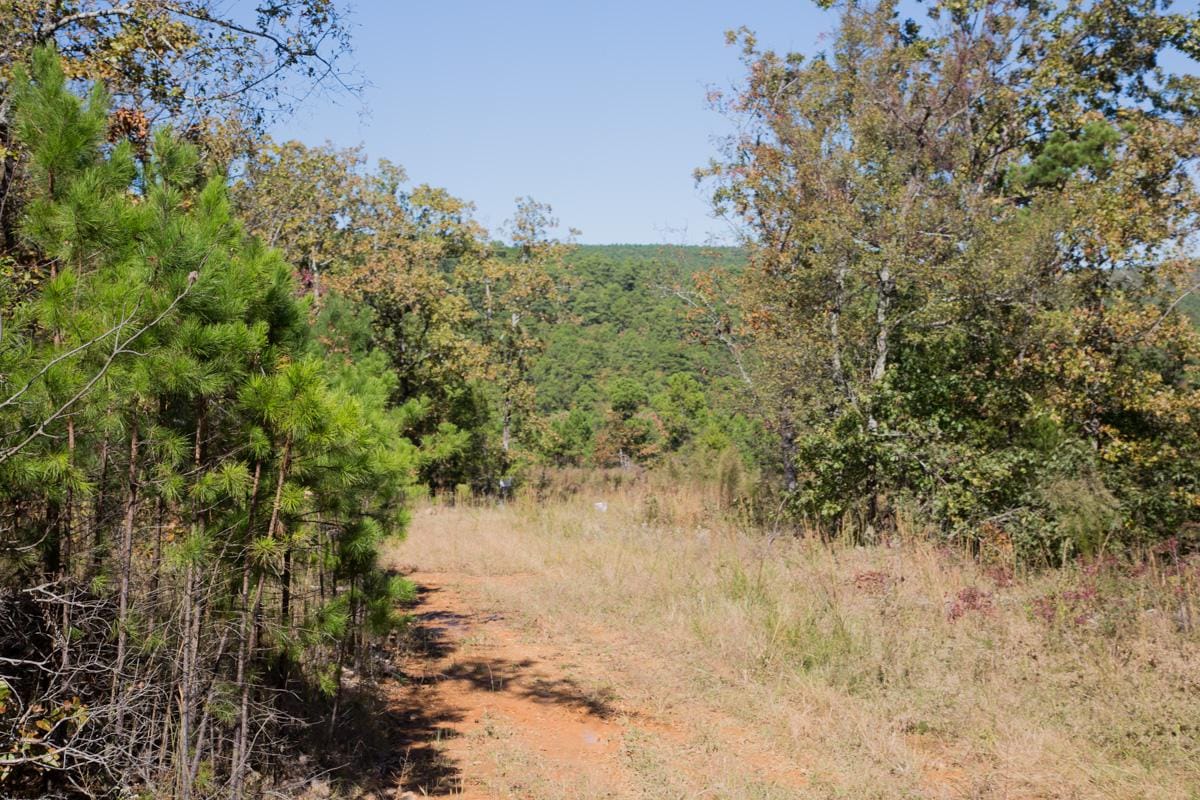 Stone Creek Phase I Tract 114 photo 2