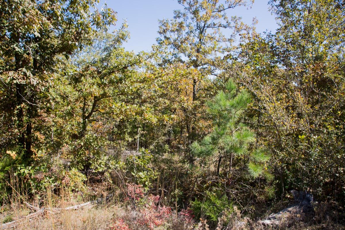 Stone Creek Phase I Tract 114 photo 6
