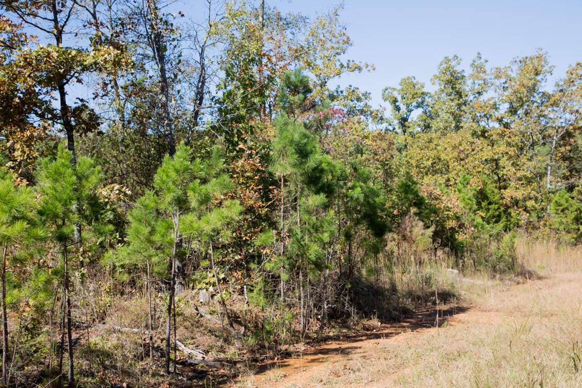 Stone Creek Phase I Tract 114 photo 7