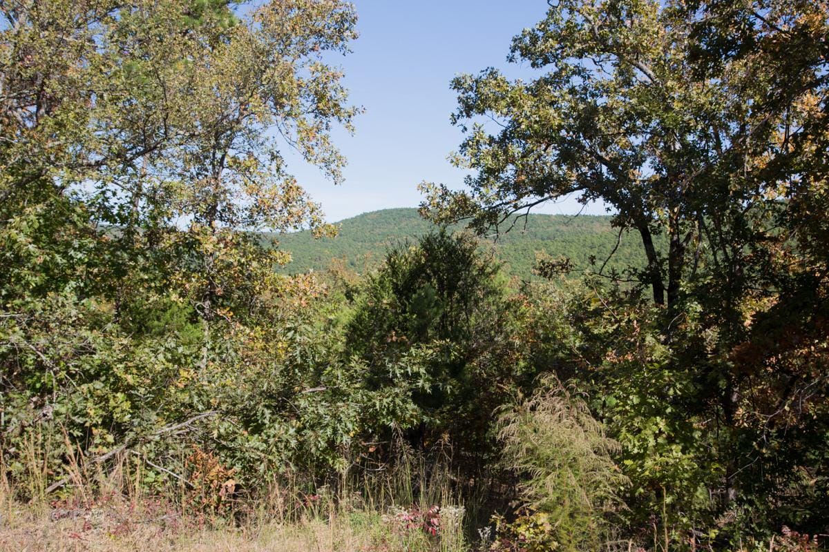Stone Creek Phase I Tract 114 photo 8