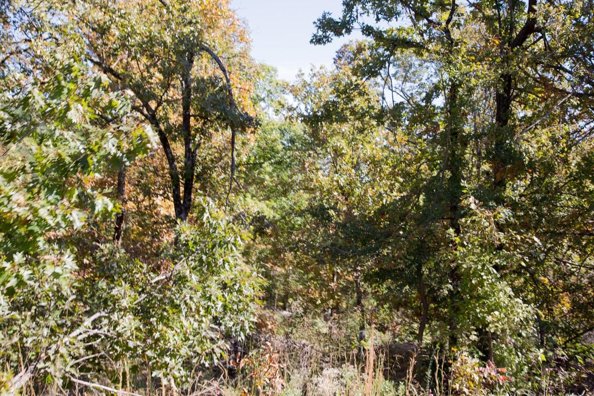 Stone Creek Phase I Tract 114 photo 9
