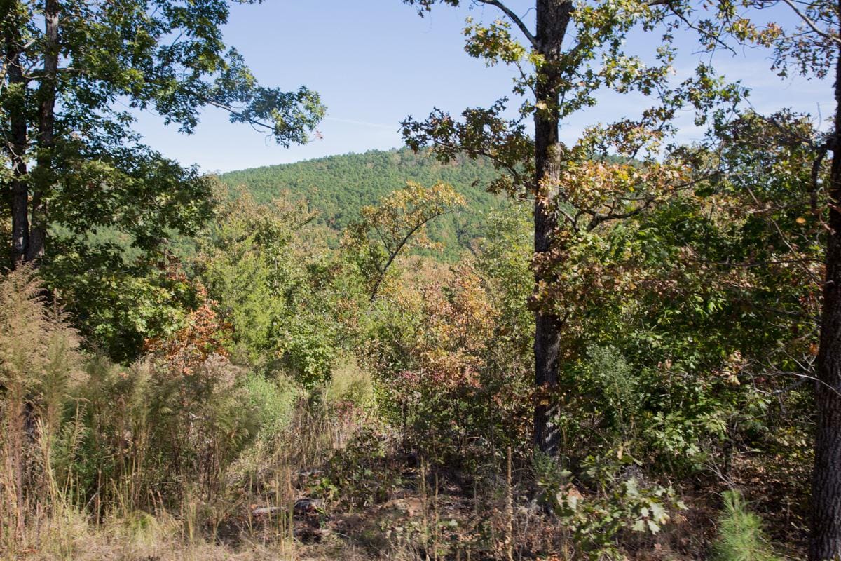 Stone Creek Phase I Tract 114 photo 10