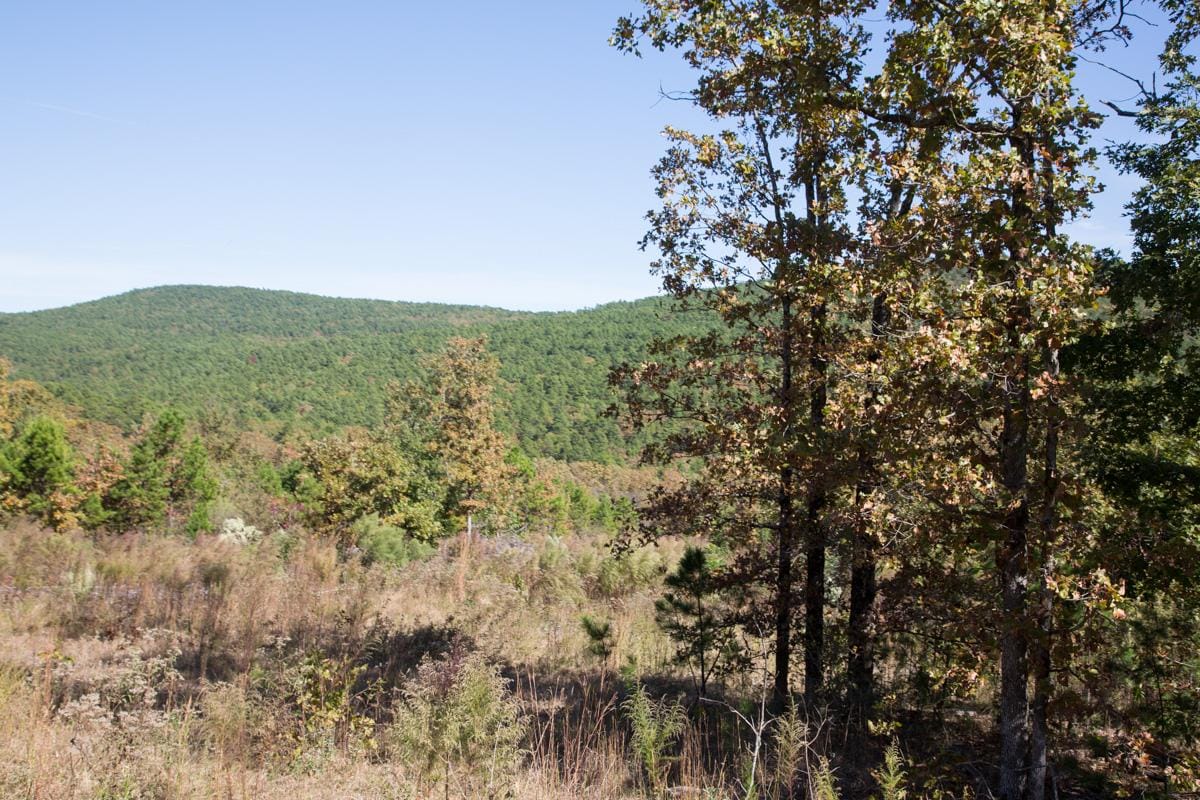 Stone Creek Phase I Tract 114 photo 11
