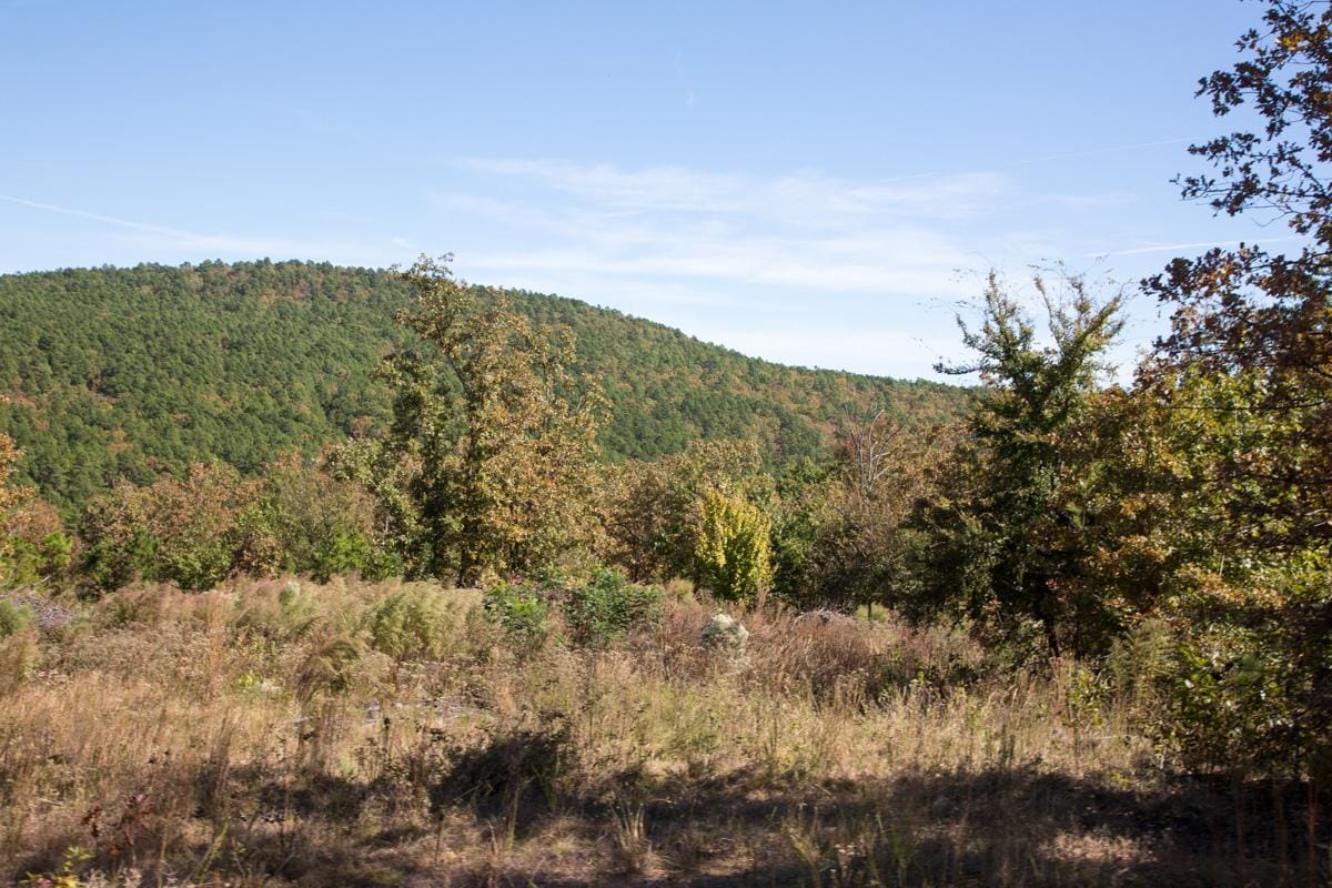 Stone Creek Phase I Tract 114 photo 12