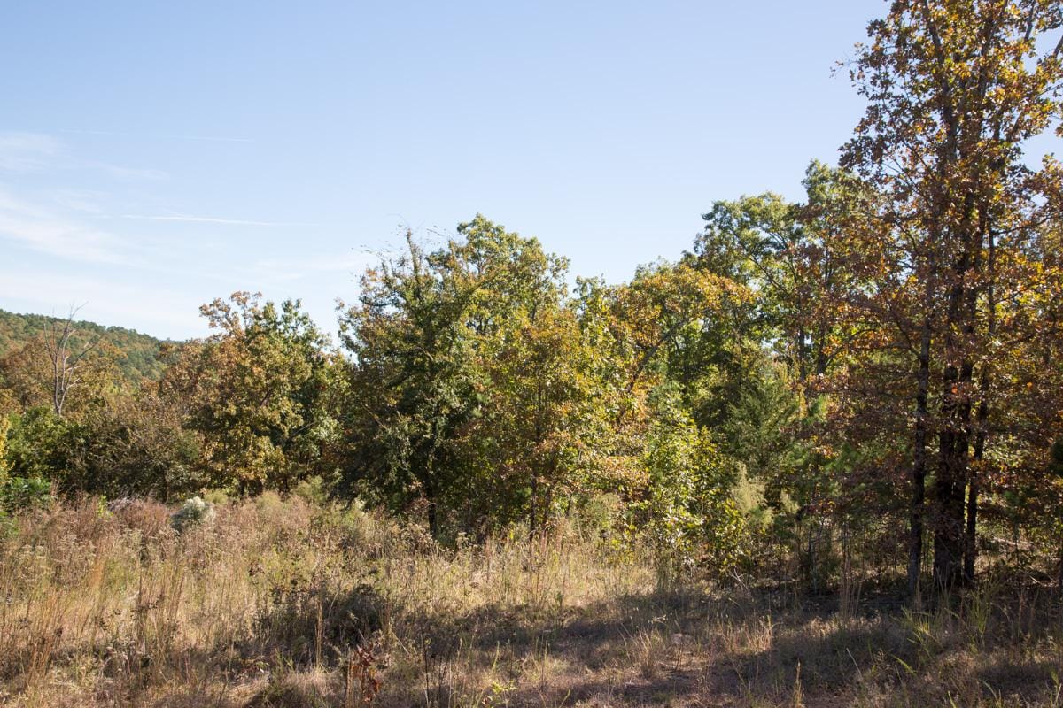 Stone Creek Phase I Tract 114 photo 13