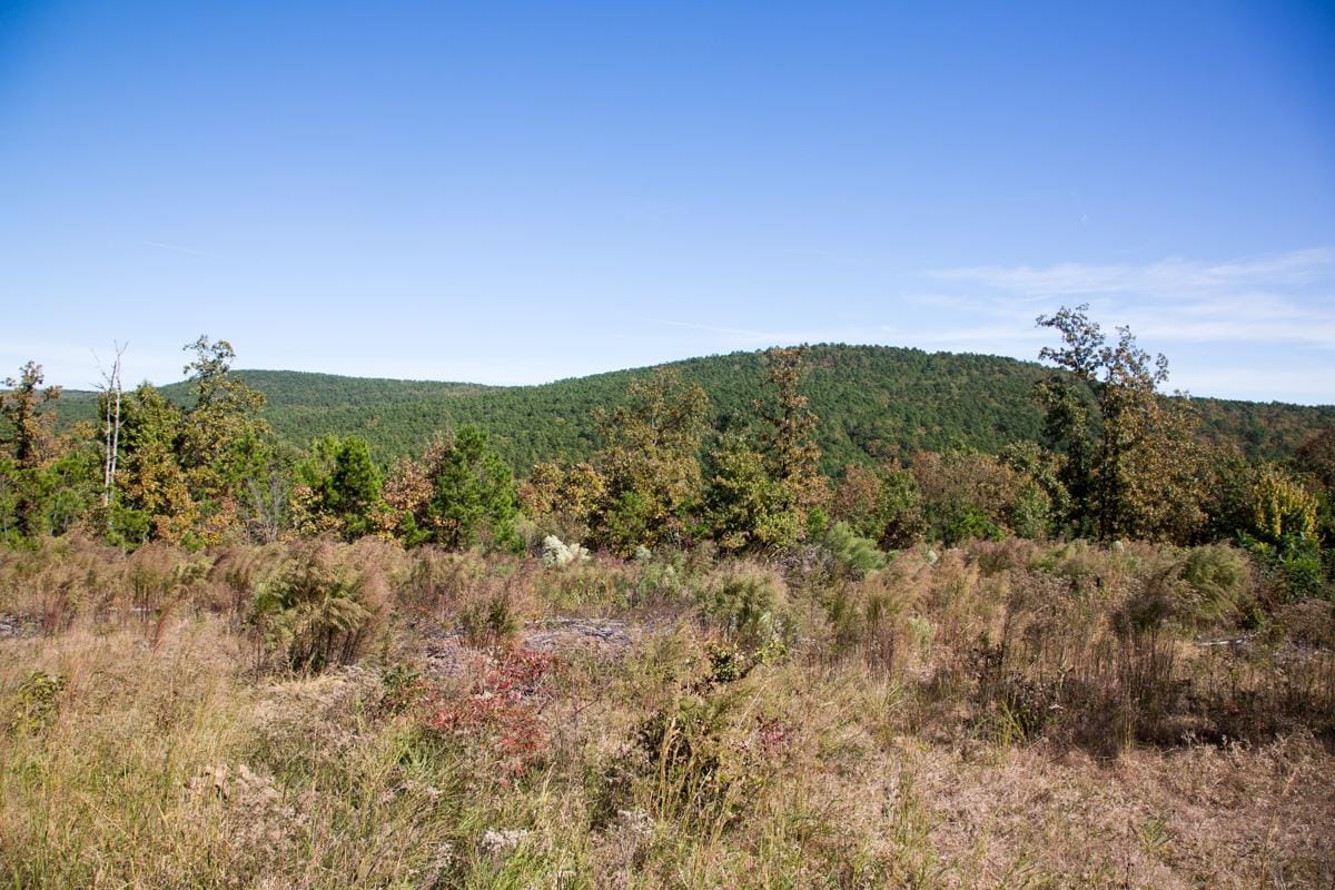 Stone Creek Phase I Tract 114 photo 14