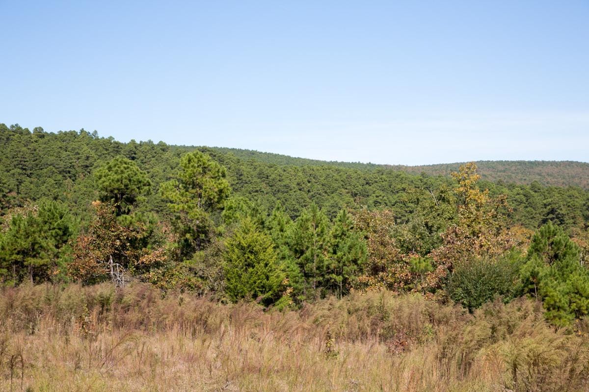 Stone Creek Phase I Tract 114 photo 15