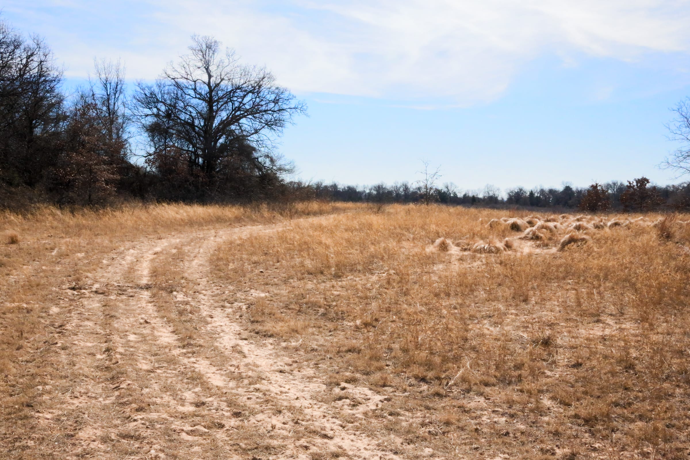 Legacy Ranch Tract 2 photo 8