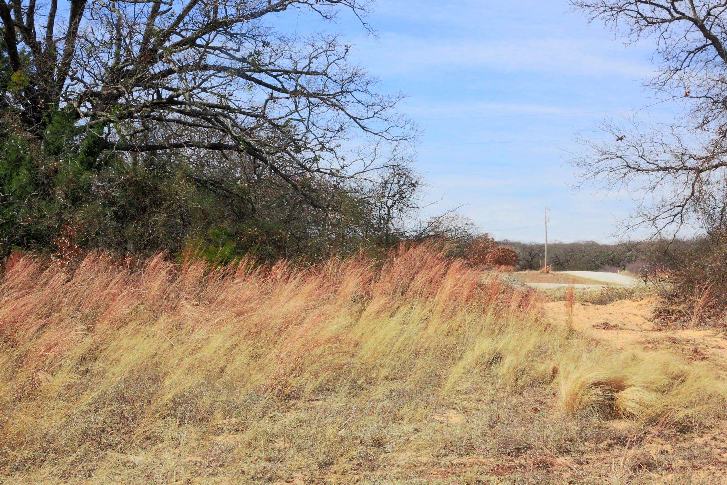 Legacy Ranch Tract 2 photo 12