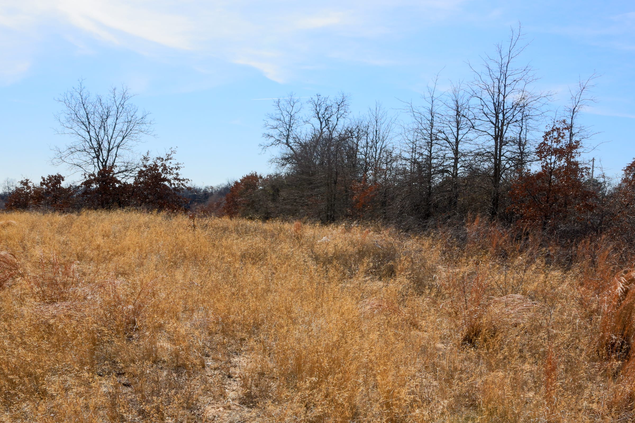 Legacy Ranch Tract 2 photo 13