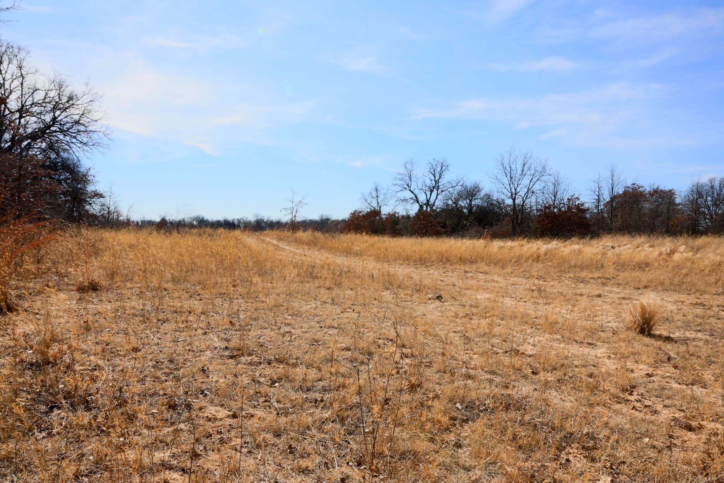 Legacy Ranch Tract 2 photo 15