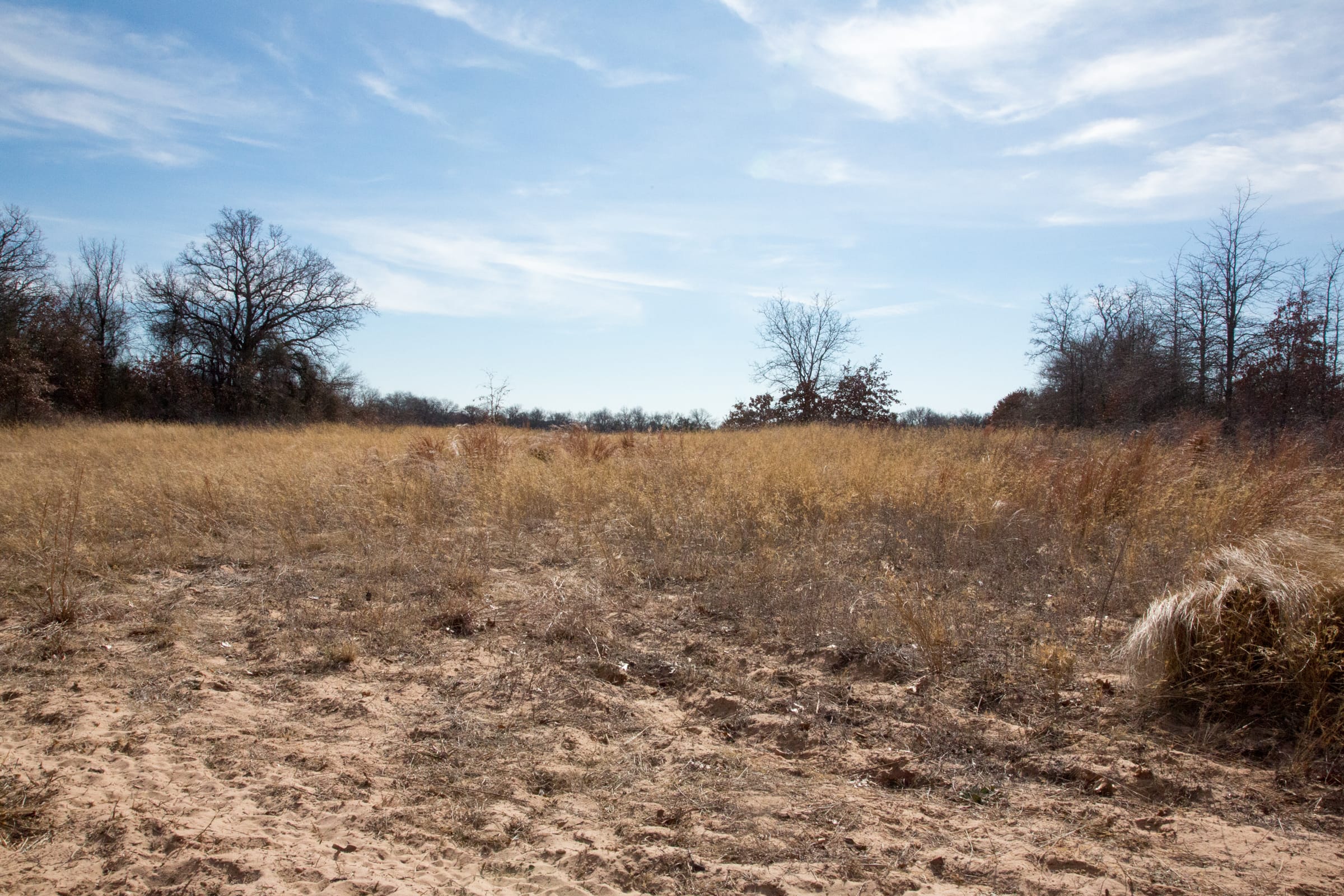 Legacy Ranch Tract 2 photo 20