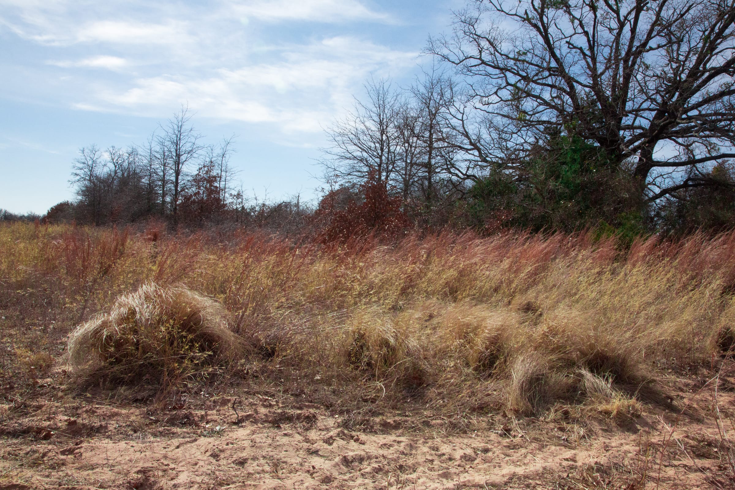 Legacy Ranch Tract 2 photo 21