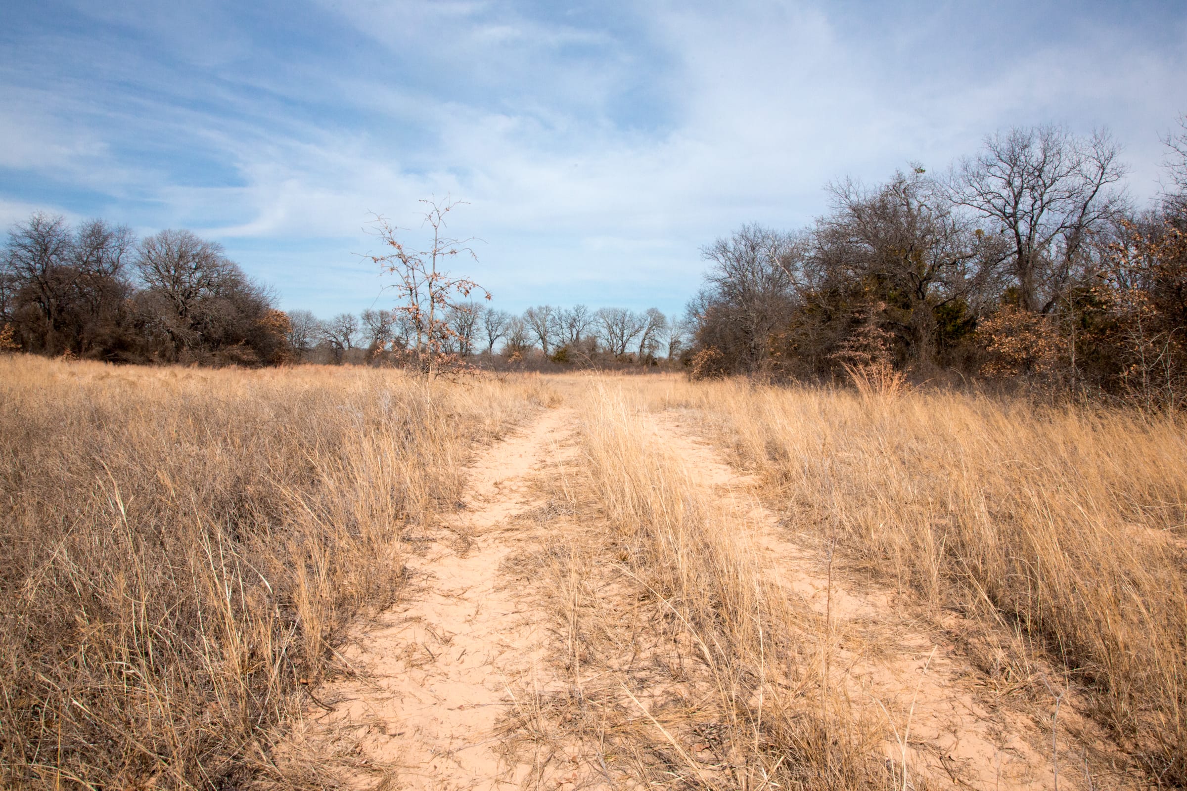 Legacy Ranch Tract 2 photo 2