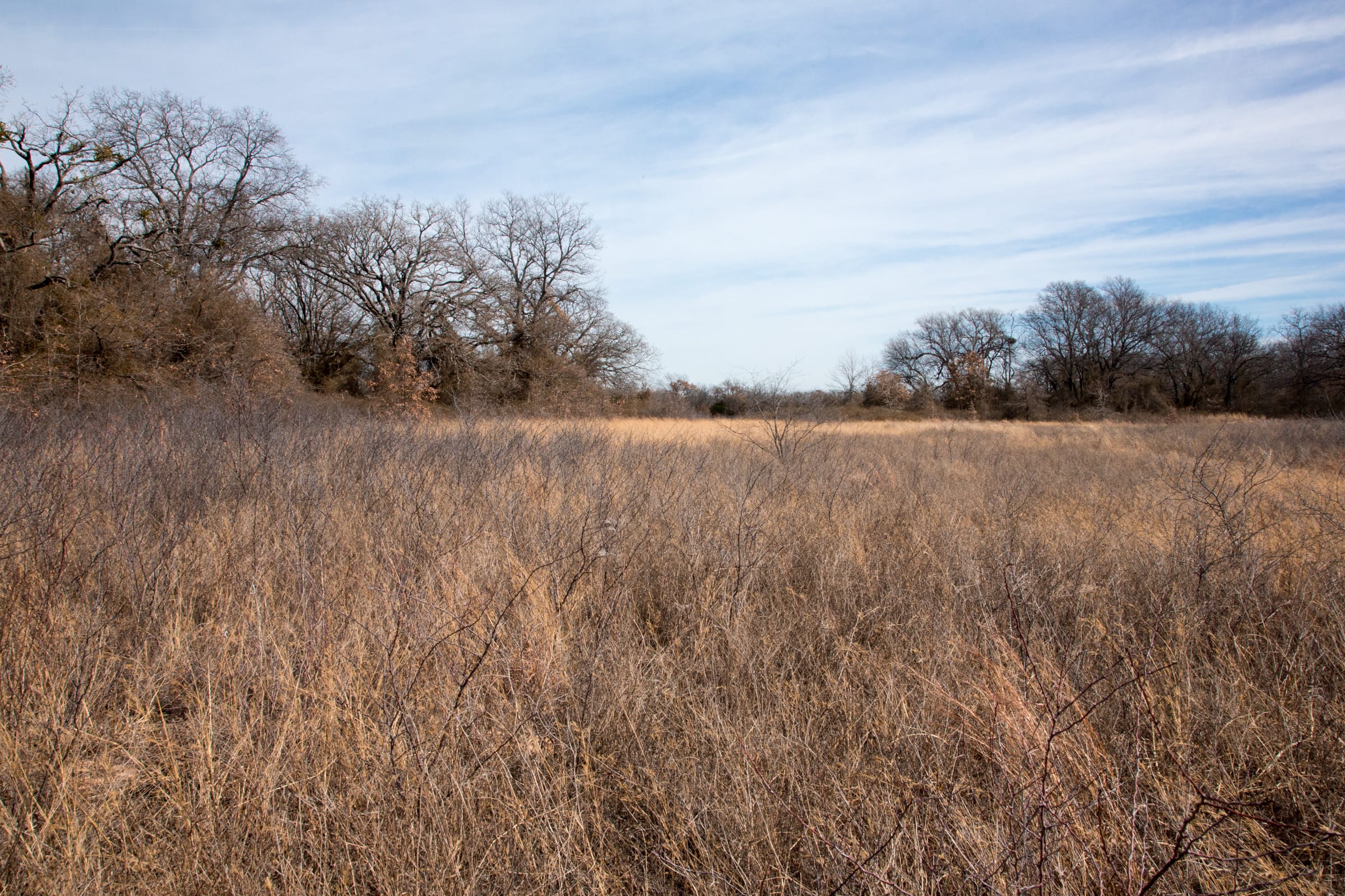 Legacy Ranch Tract 2 photo 22
