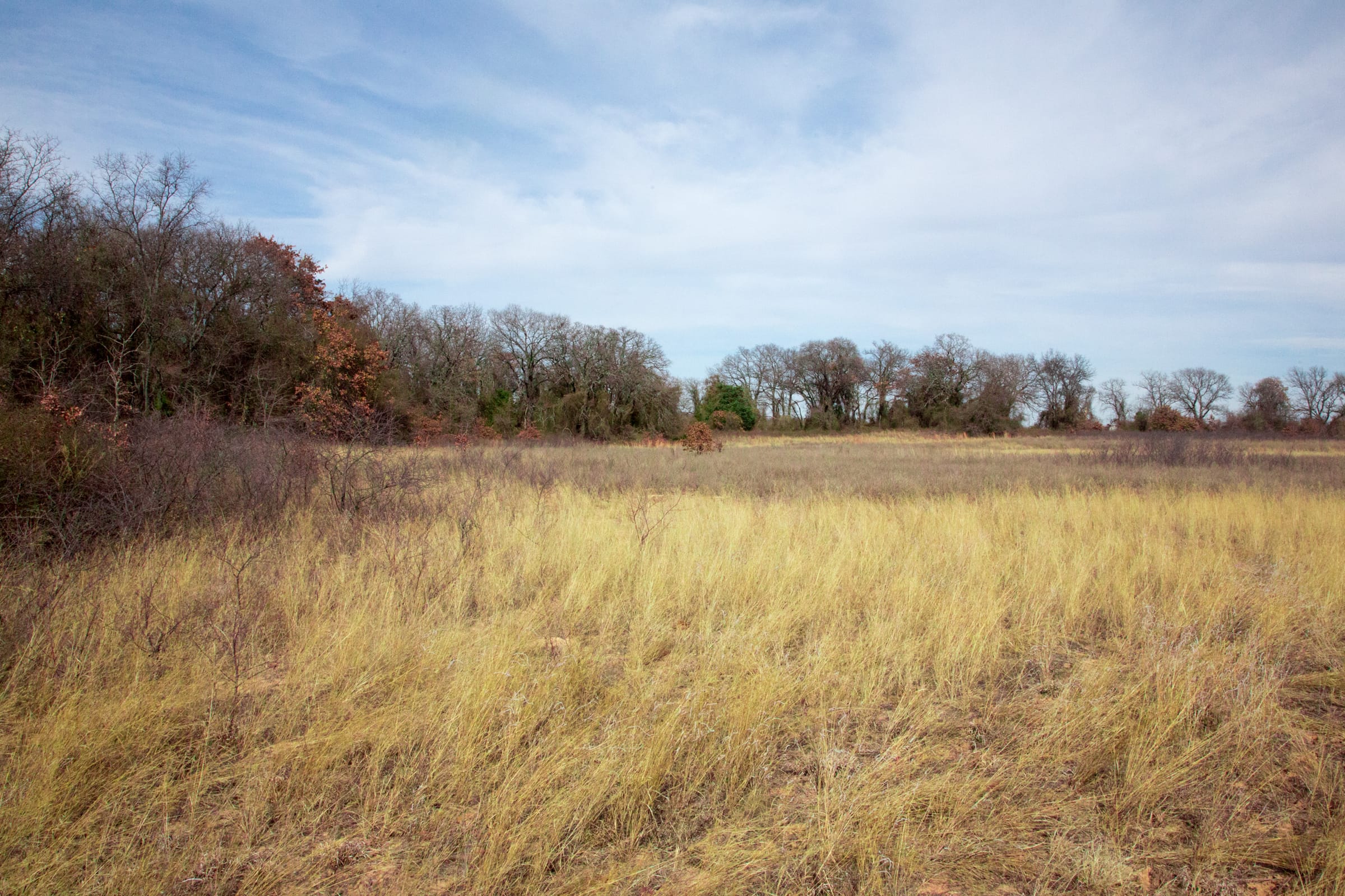 Legacy Ranch Tract 2 photo 23