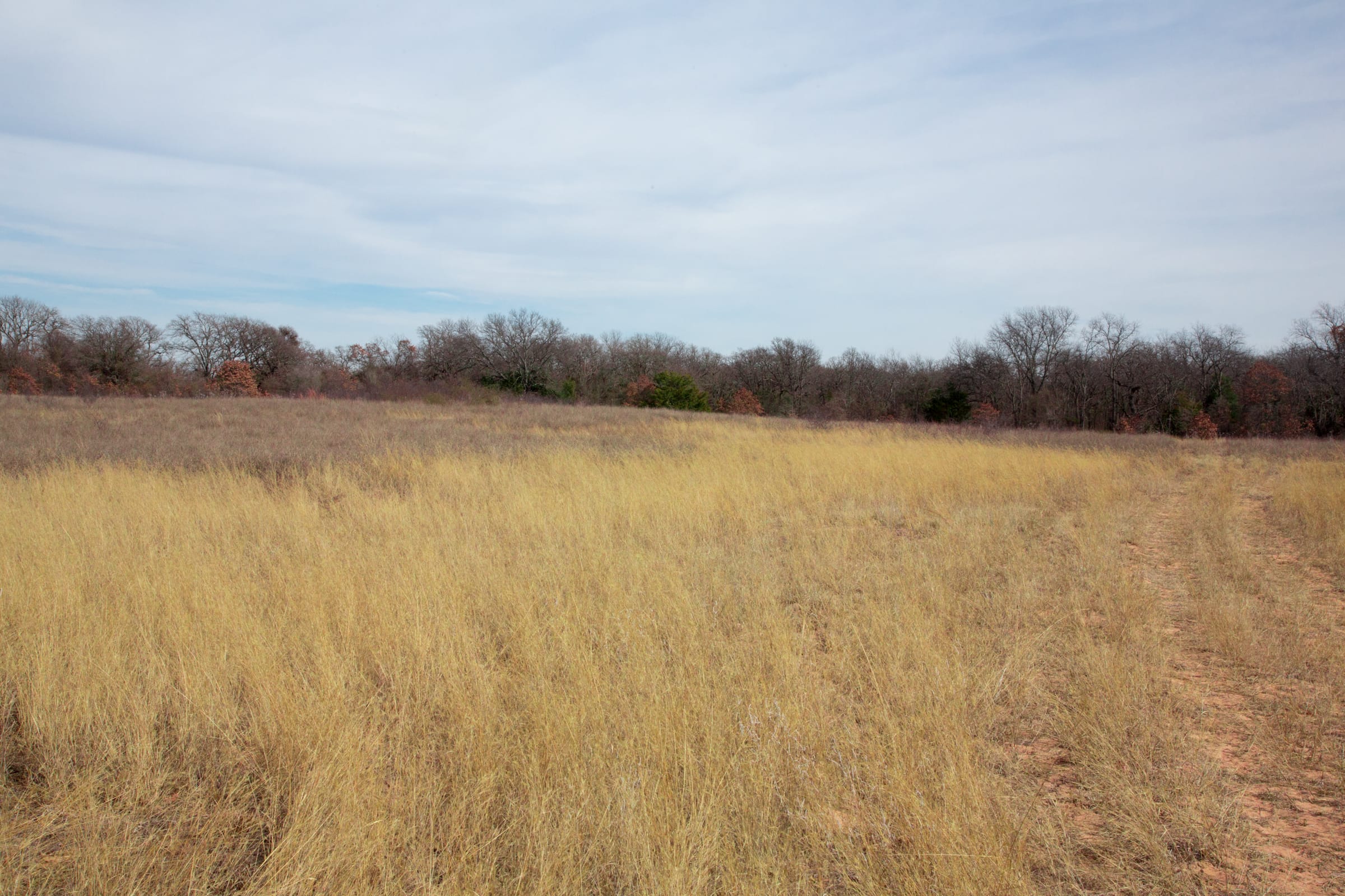 Legacy Ranch Tract 2 photo 24