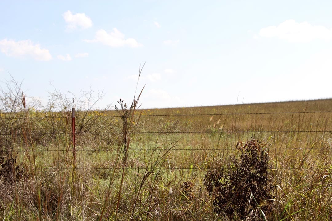 Cowboy Meadows Tract 4 photo 2