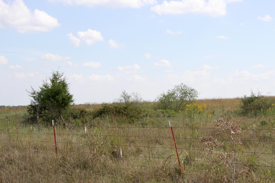 Cowboy Meadows Tract 4 photo 3