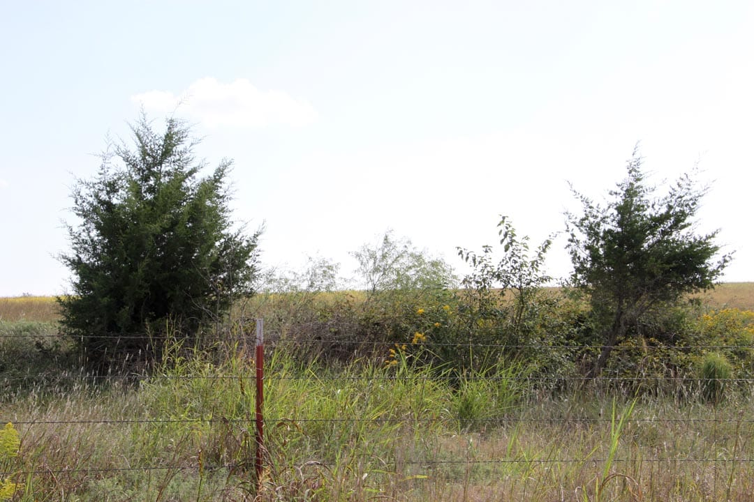 Cowboy Meadows Tract 4 photo 4